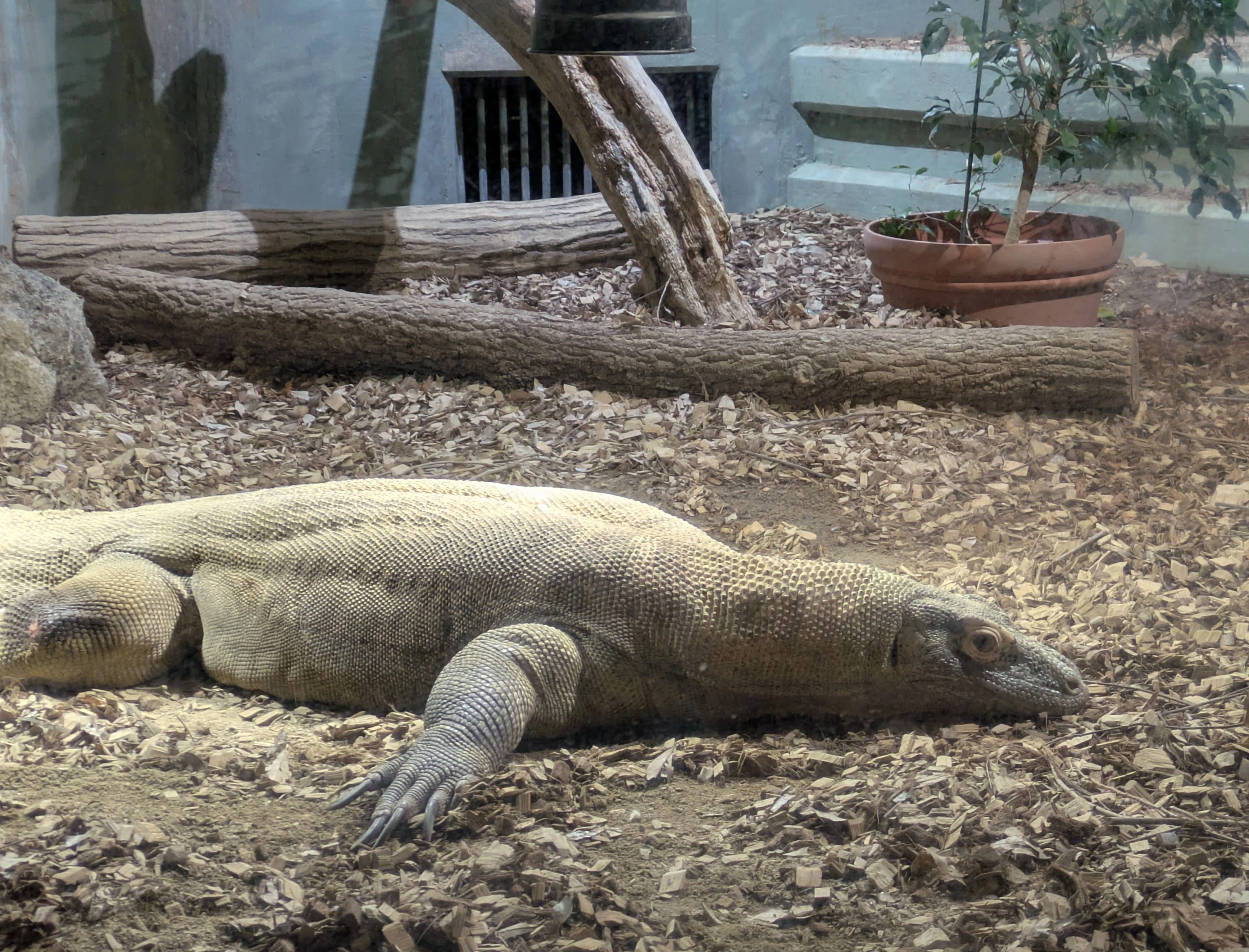 記念メダル】東山動植物園であつめる｜ATUPON