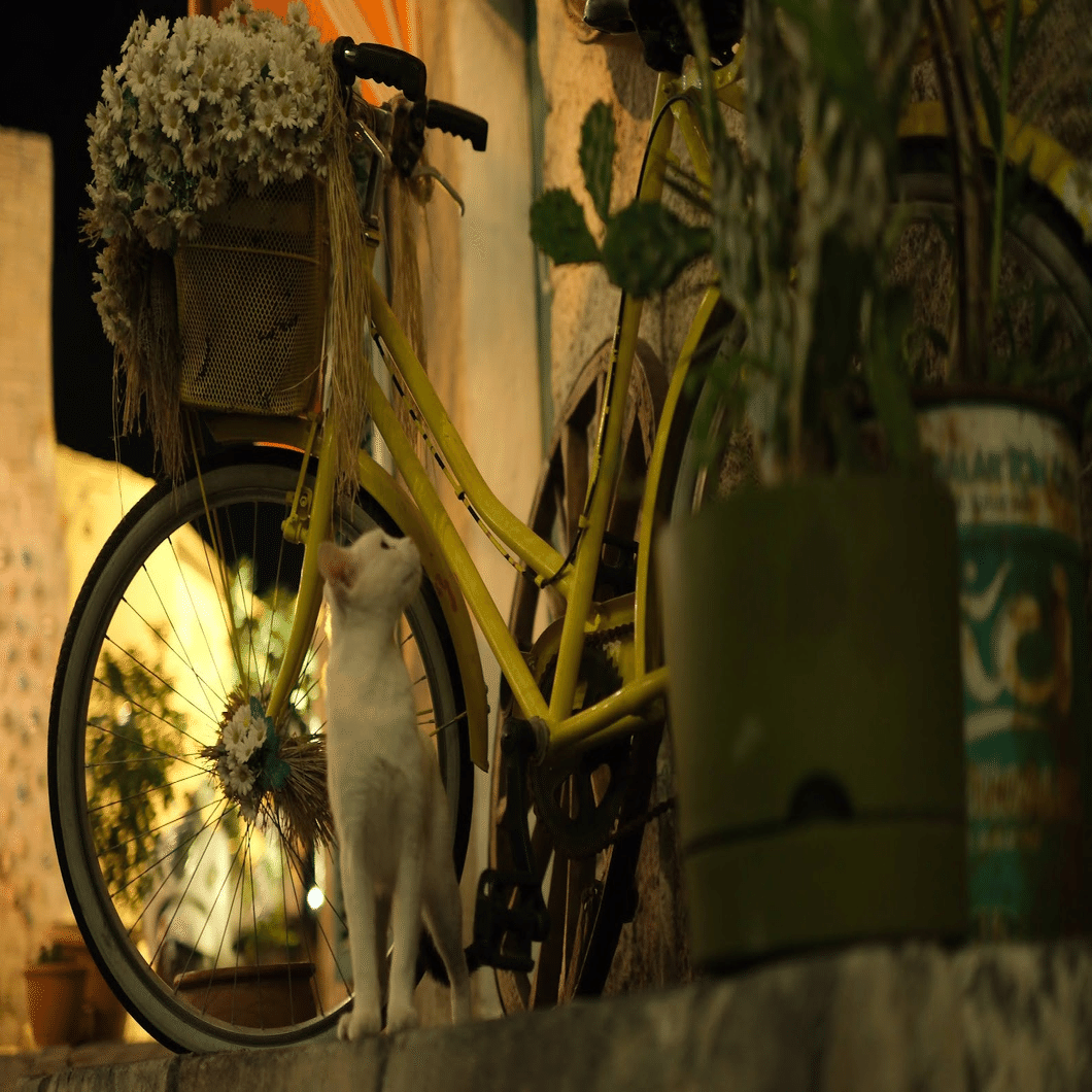 ☆ カッパドキア 大型油彩画 サラデママ トルコ カッパドキア 気球 風景 イラスト アート ポスター