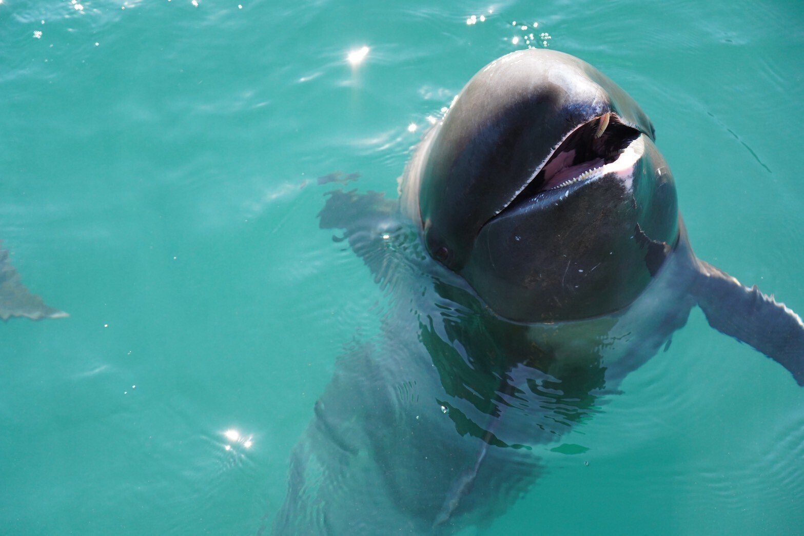 クジラ夜の街 太地へ【和歌山県観光レポ】｜前髪