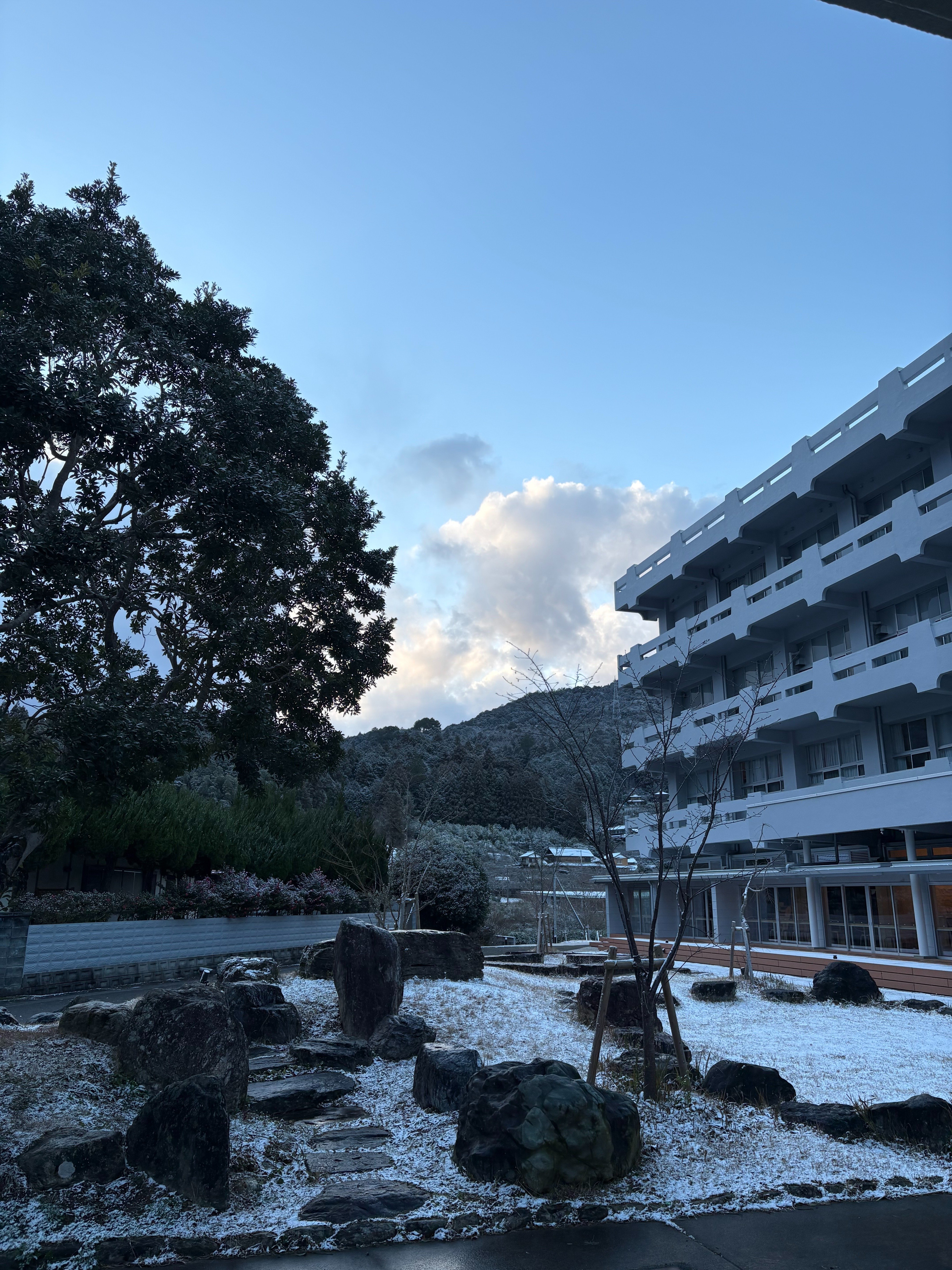 初雪 初雪 #japan #初雪 #snowday #田舎暮らし #愛媛