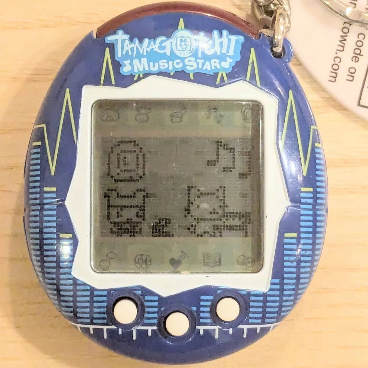 たまごっちミュージックスター育成記録#11～まめっち1位獲得未達のまま