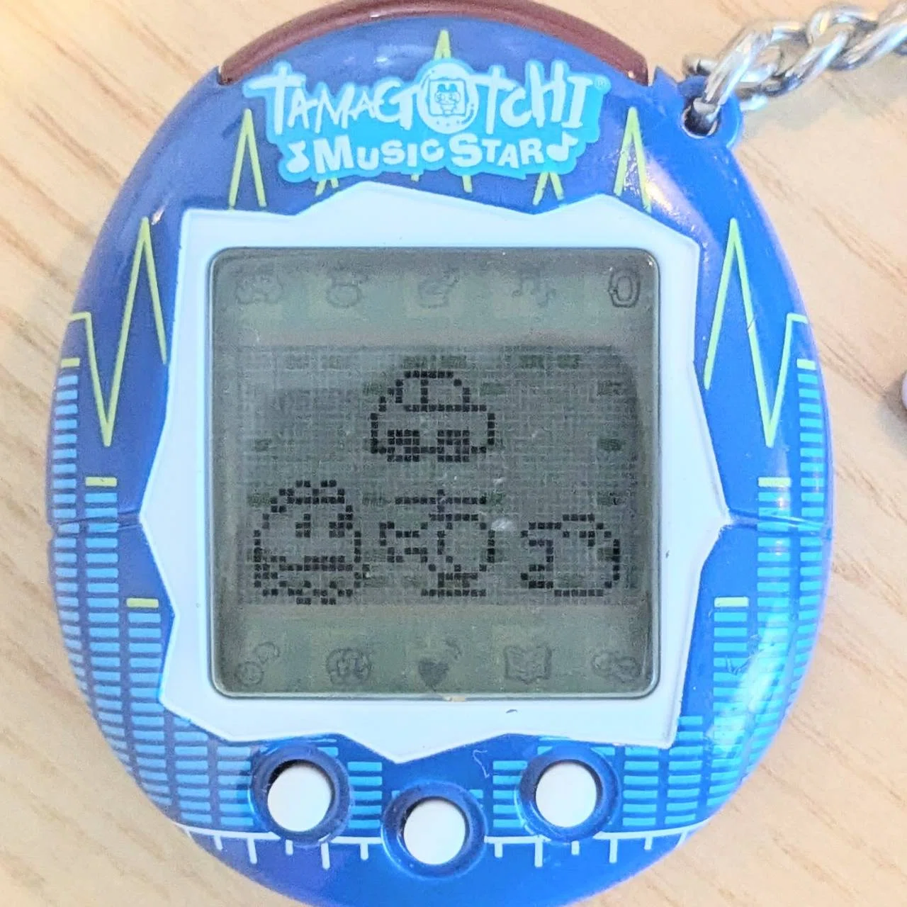 たまごっちミュージックスター育成記録#11～まめっち1位獲得未達のまま