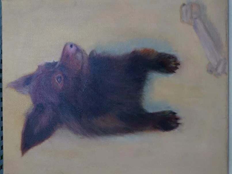 師匠との油絵レッスン5回目 犬 （通算5枚目）｜香