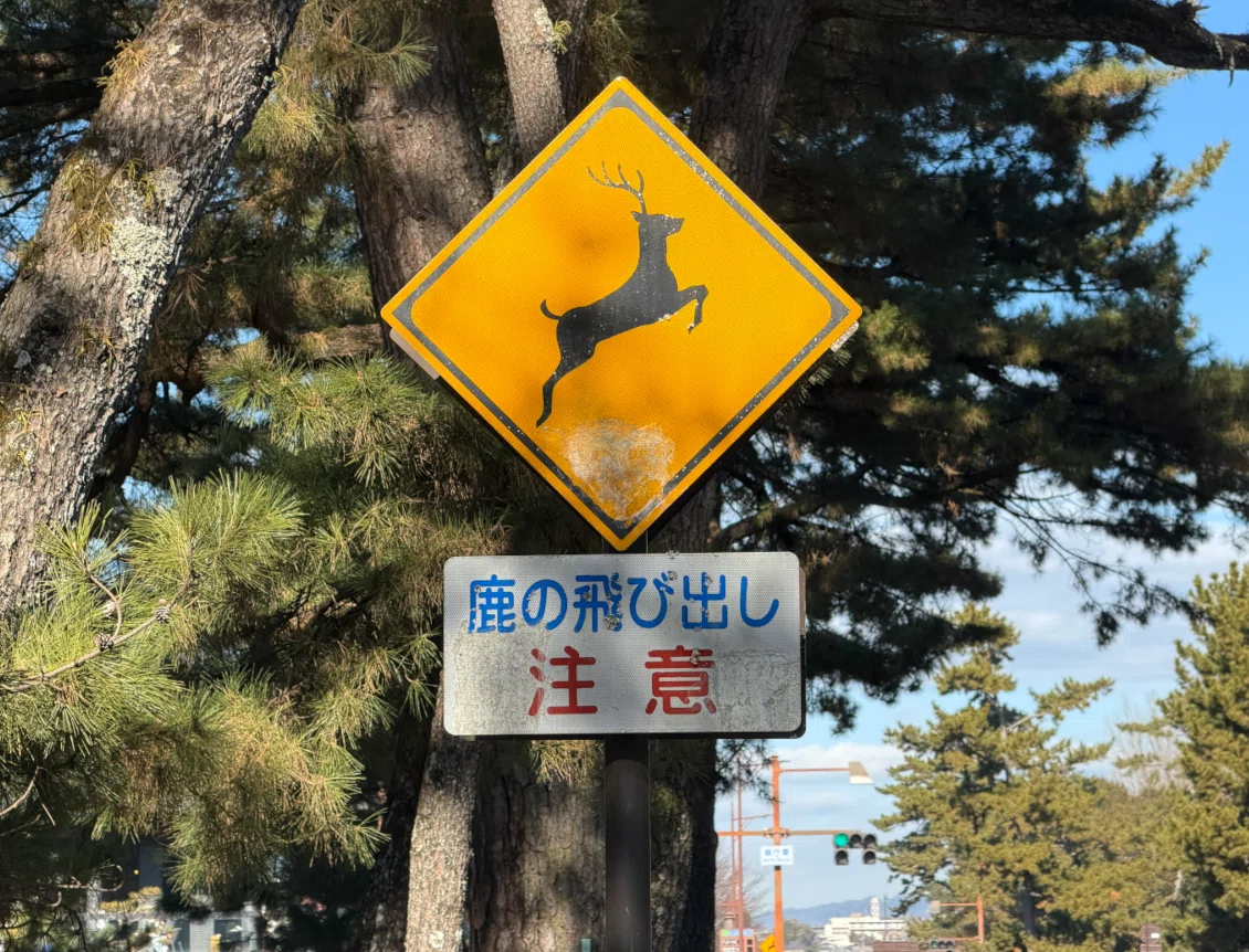 日本一！？シカに注意な場所 (奈良公園)｜道路標識マニア