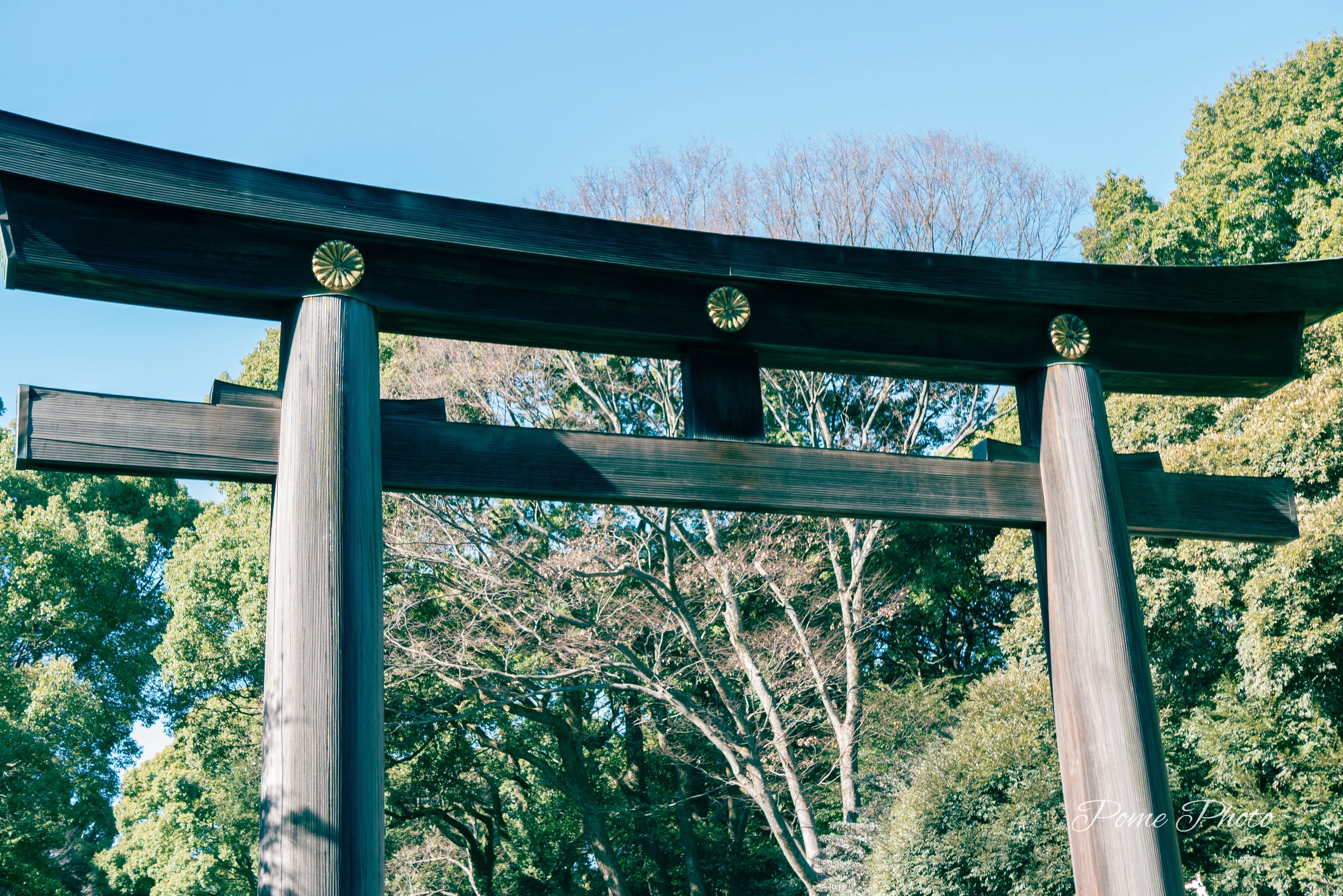 明治神宮に初詣に行ってきたよ｜ぽめ