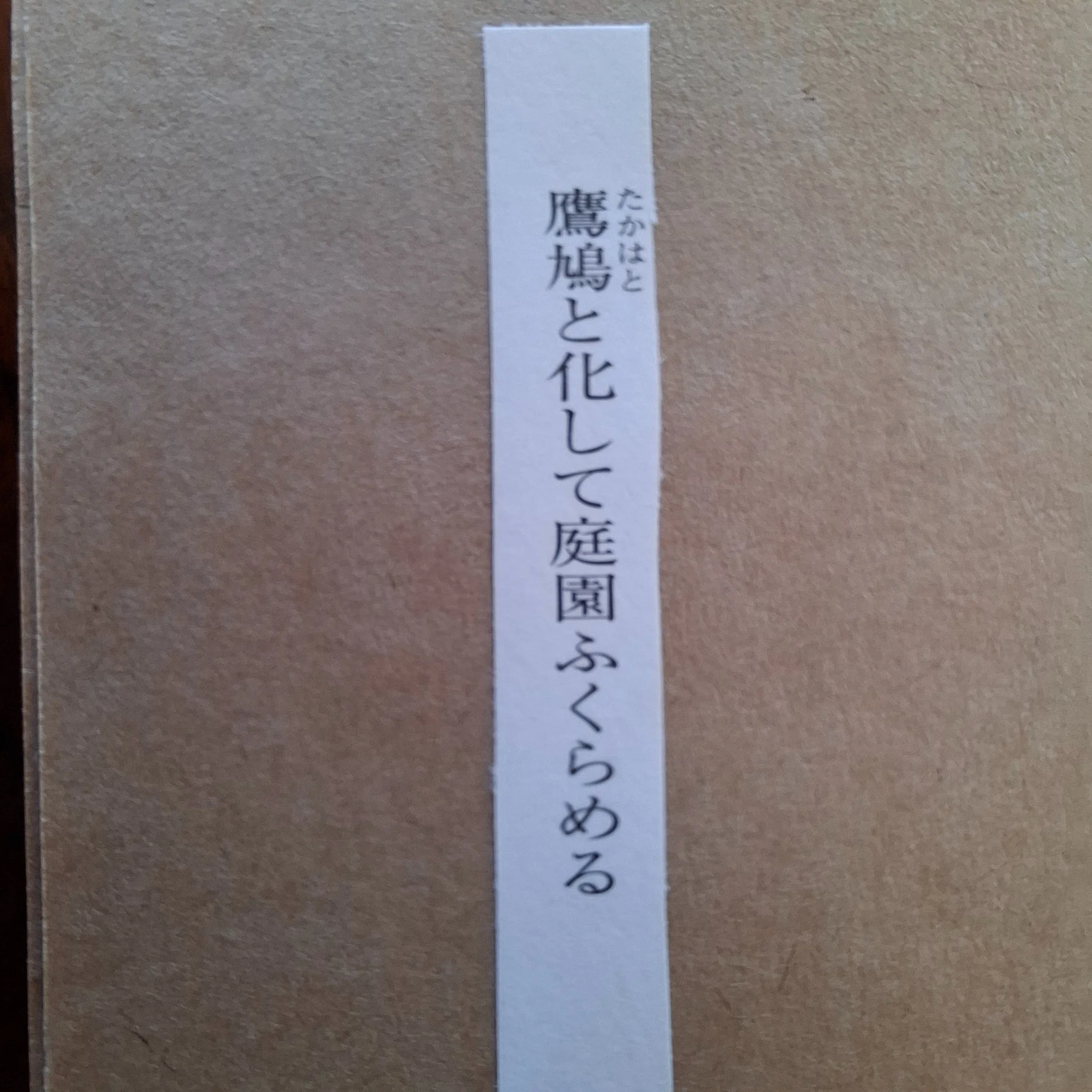 採用された俳句（自己紹介をかねて）｜北清水麻衣子