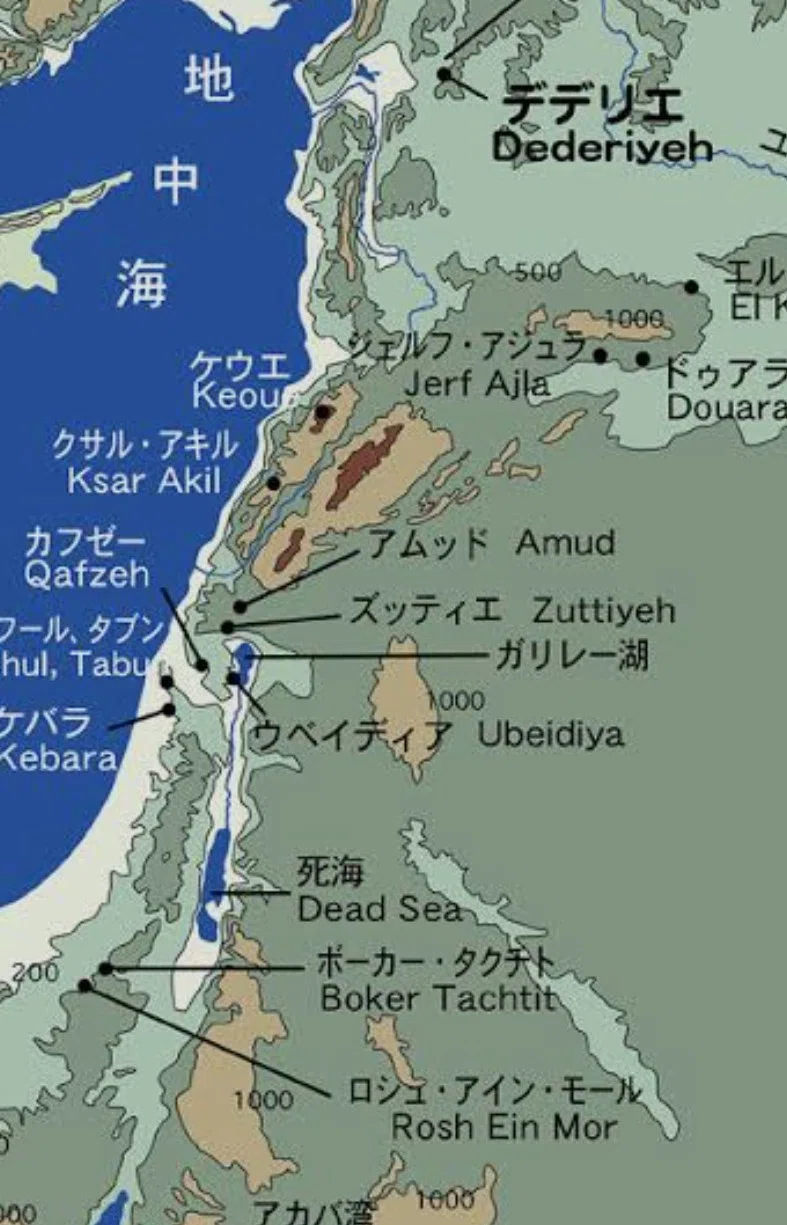 【2026共通テスト...「地理」直前対策】 地溝帯は脱炭素など環境要因から要注意?|takのuma