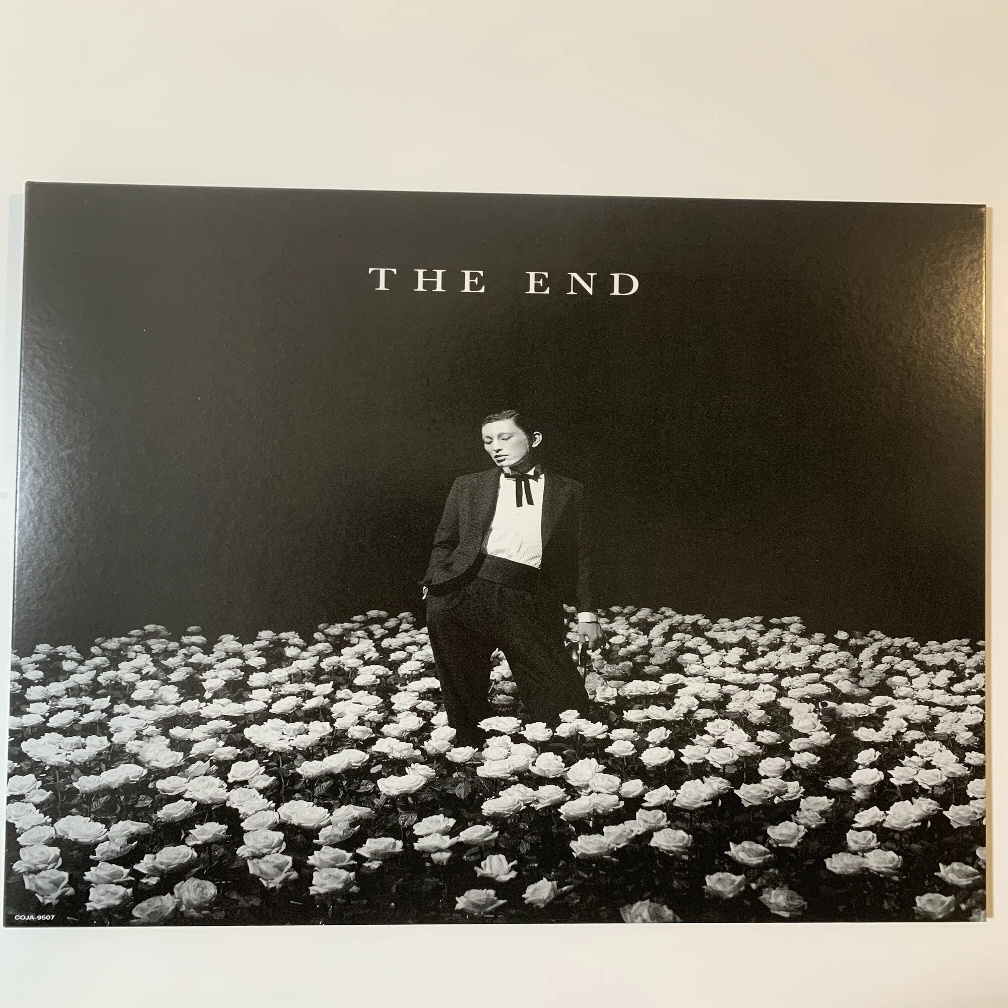 レコードなど紹介】毛皮のマリーズ「THE END」｜マツダレコード