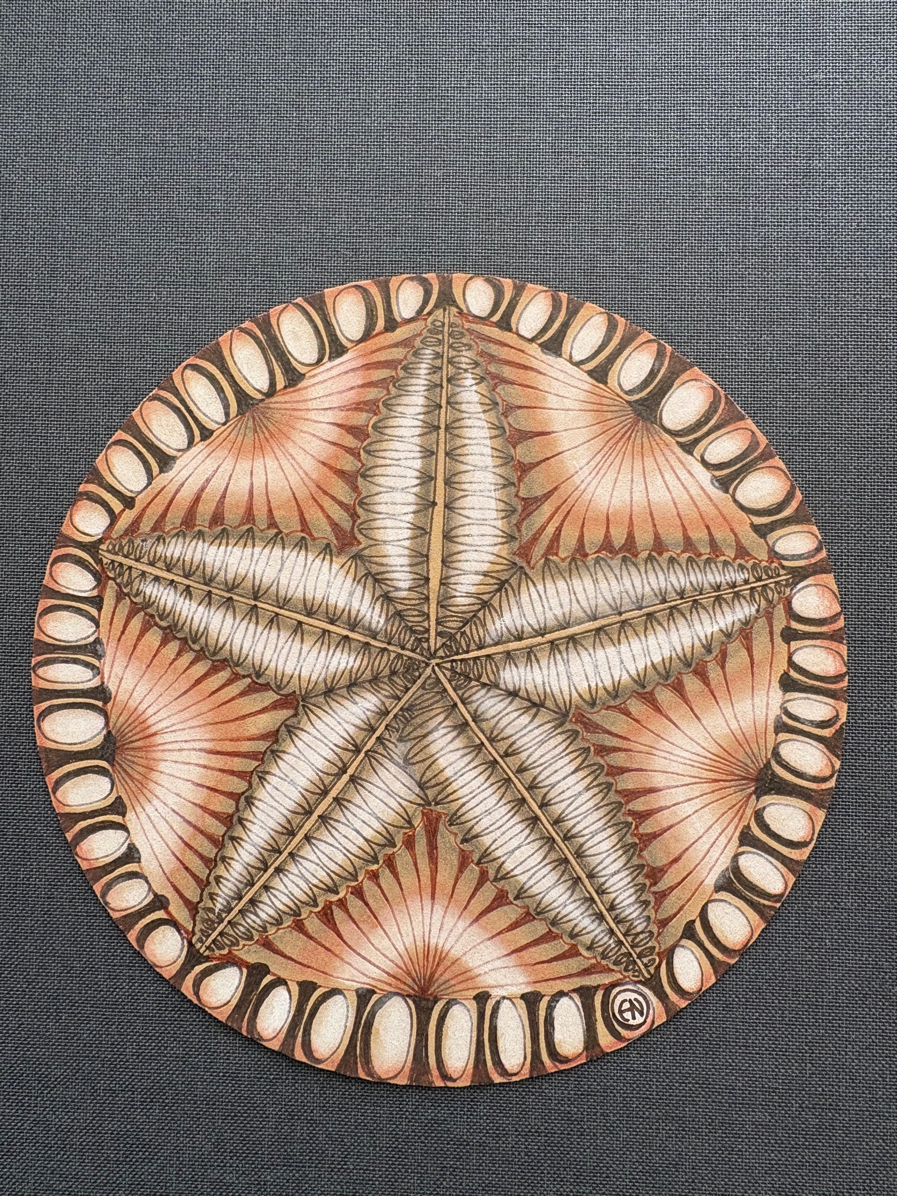 ゼンタングル Project PACK No.28 のお話し(後半)｜Etsuko.N