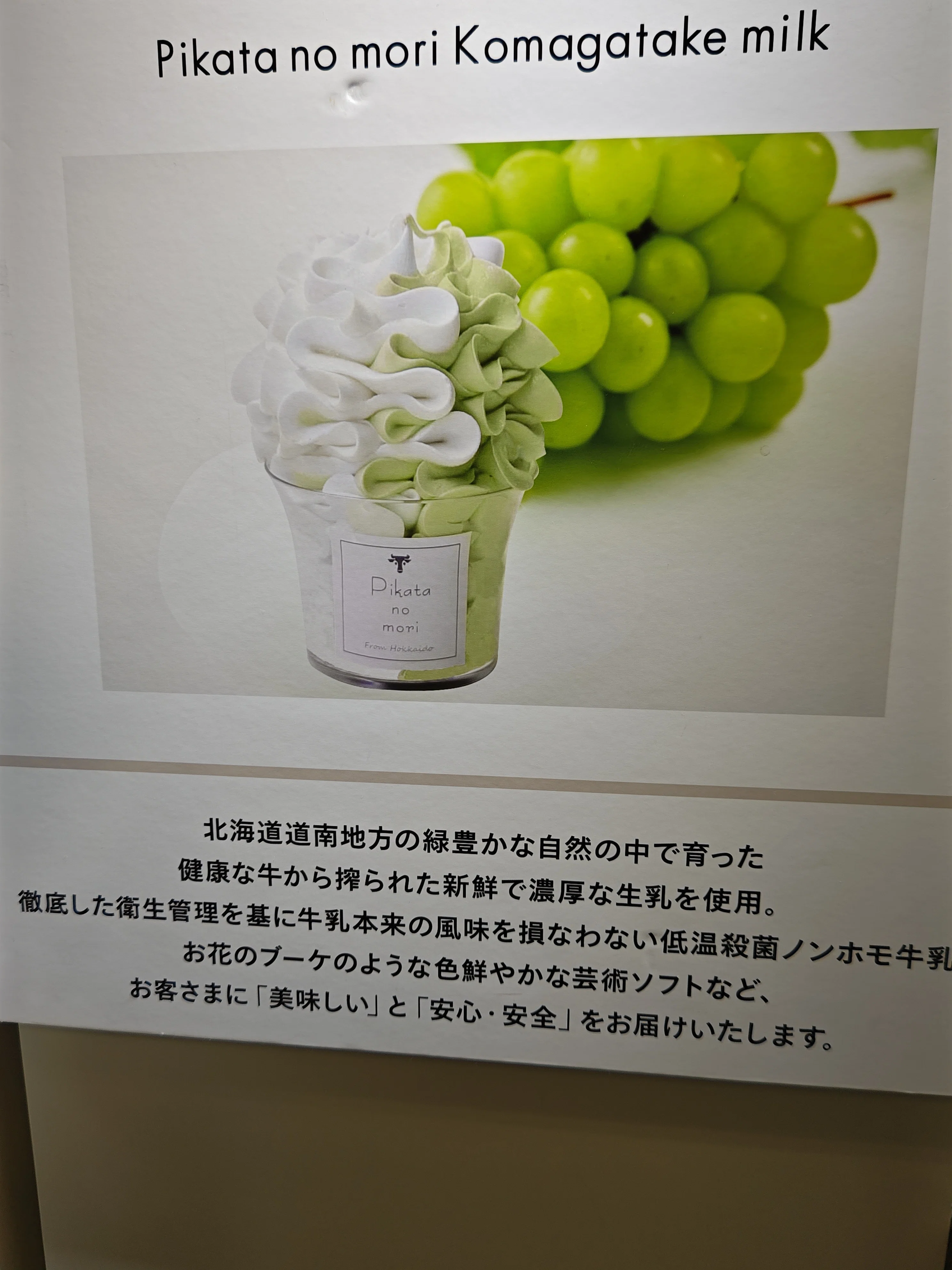 ㉜新作!マスカット❣️華切子❣️珊瑚の花❣️祭囃子❣️発根済! メルカリ便込 横浜そごう・北海道物産展の芸術ソフト［シャインマスカット］｜代筆屋