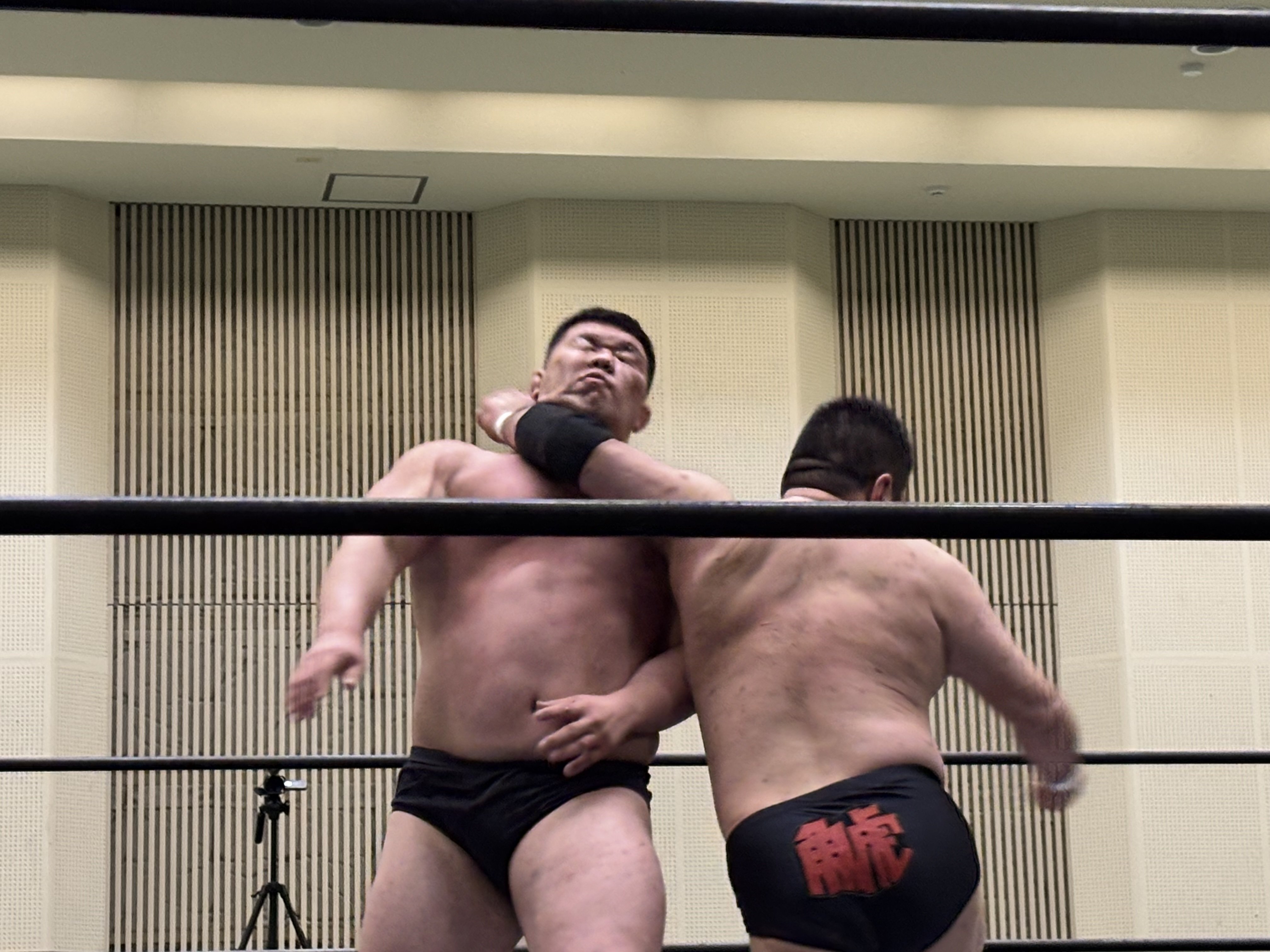 紫焔PANDORA。｜うえちゃん