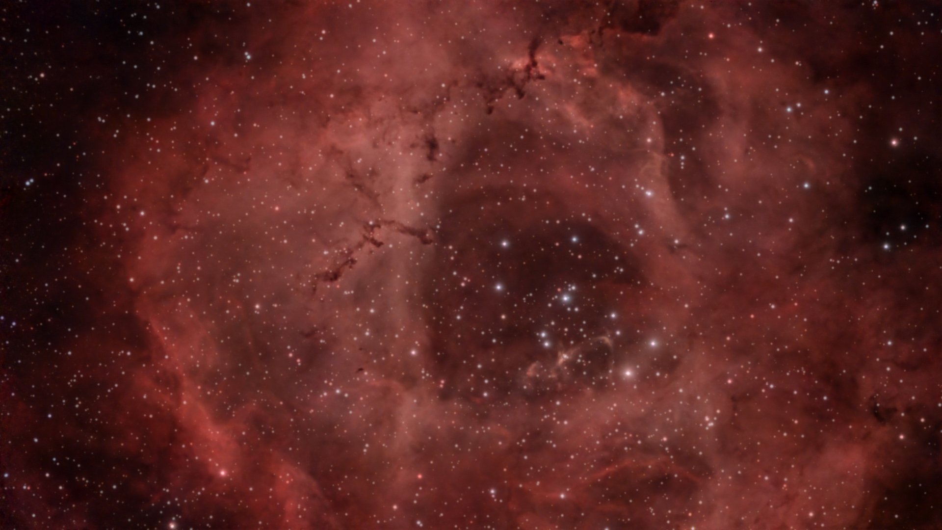 冬の夜空に咲くバラ星雲｜MASA.0424