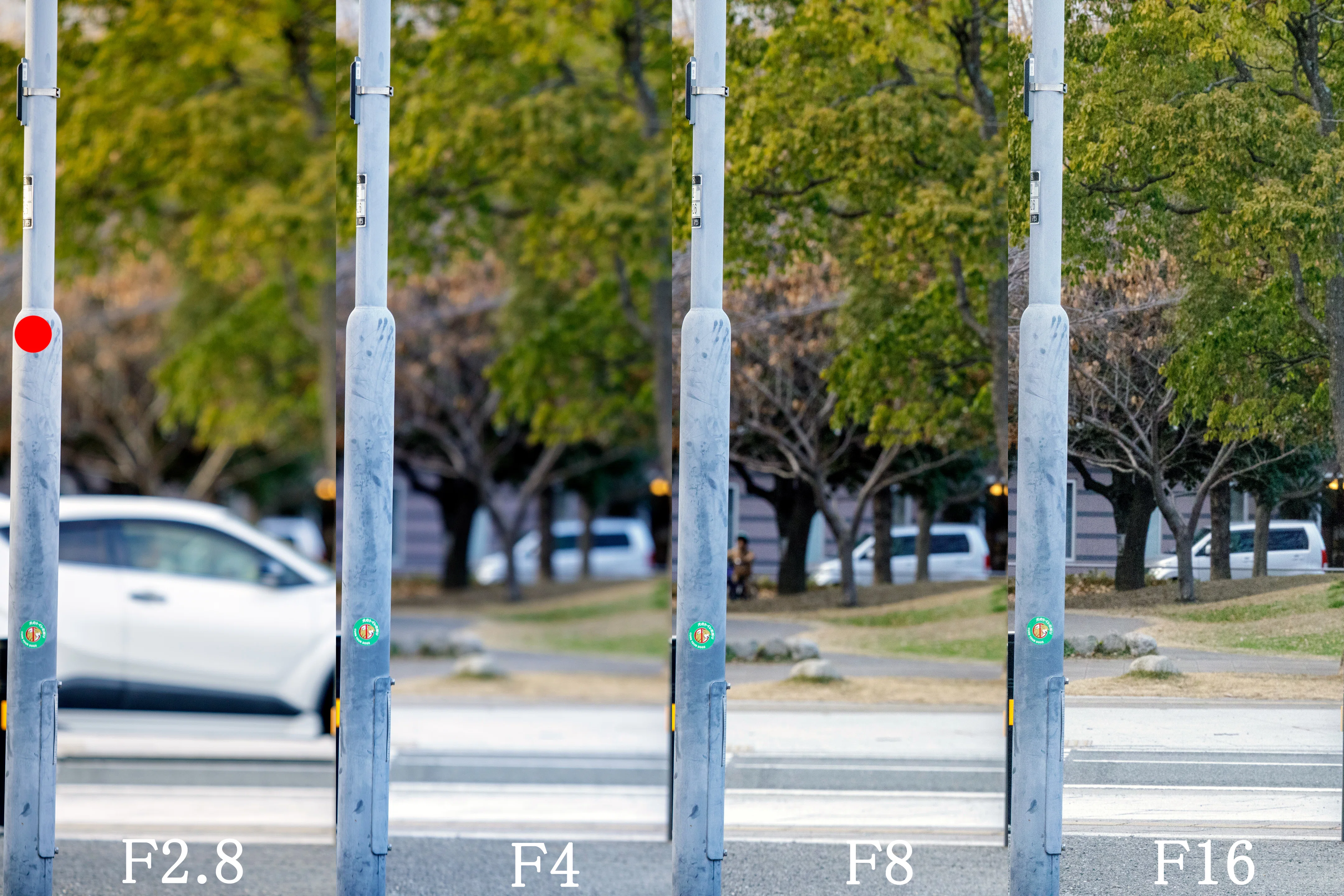 CANON EF80-200mm F2.8L｜Project Shamrock Photo Part