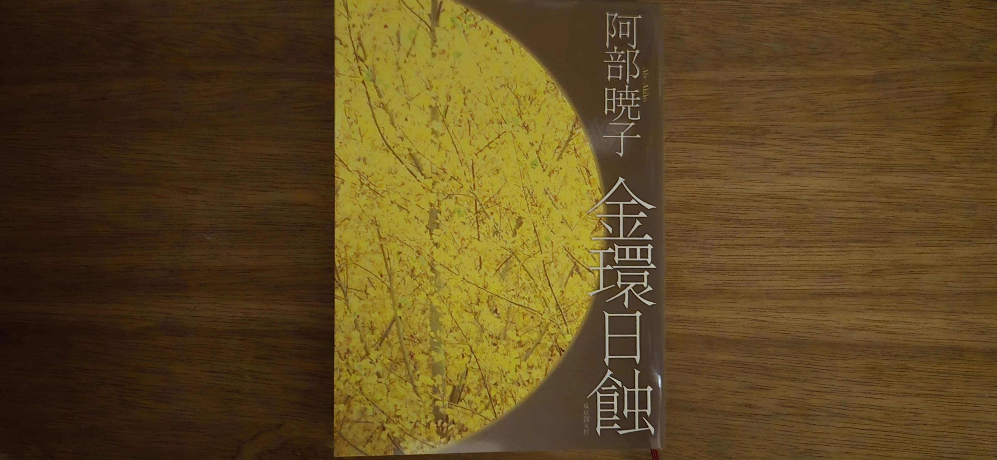 その漆黒も太陽【阿部暁子『金環日蝕』】｜れいちゃん