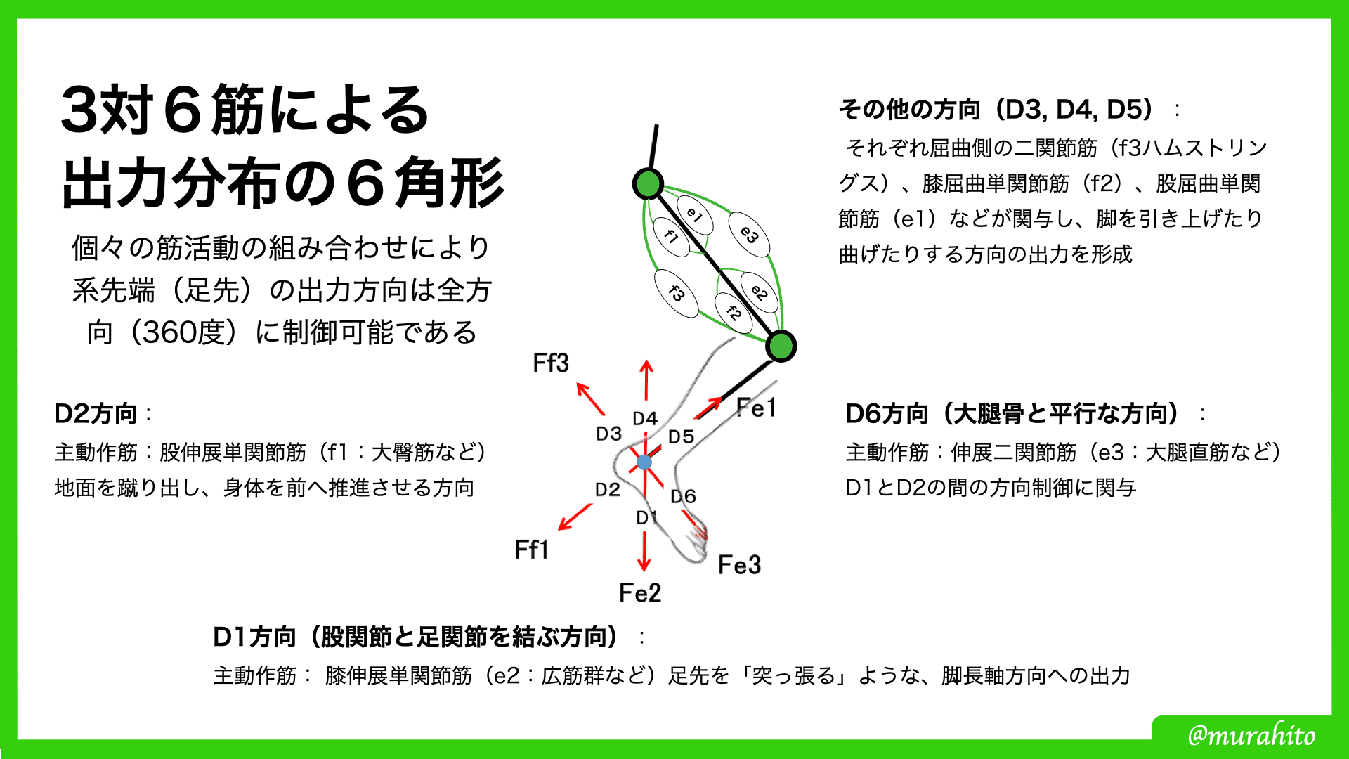二関節筋の協調制御理論 重力が育てた運動制御のメカニズム 二関節筋の協調制御理論(重力が育てた運動制御のメカニズム) | 熊本 水