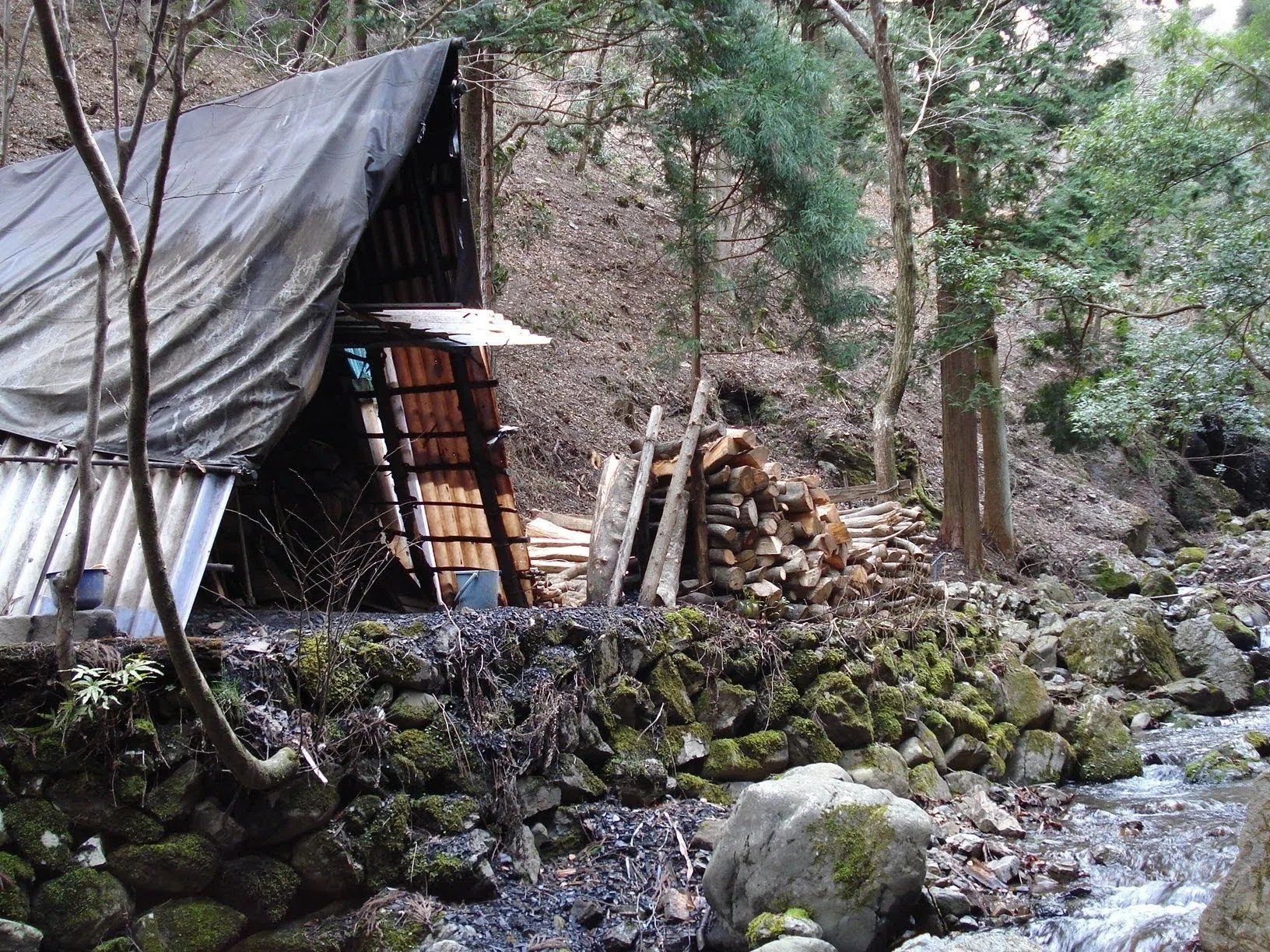 釣りは引退したけれど｜終活珈琲ライフ