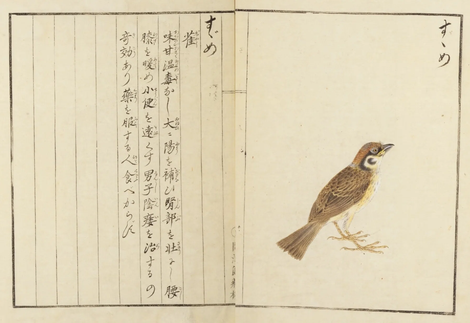鳥図鑑】華鳥譜（19）かはせみ／すゝめ／かさゝぎ｜mominaina