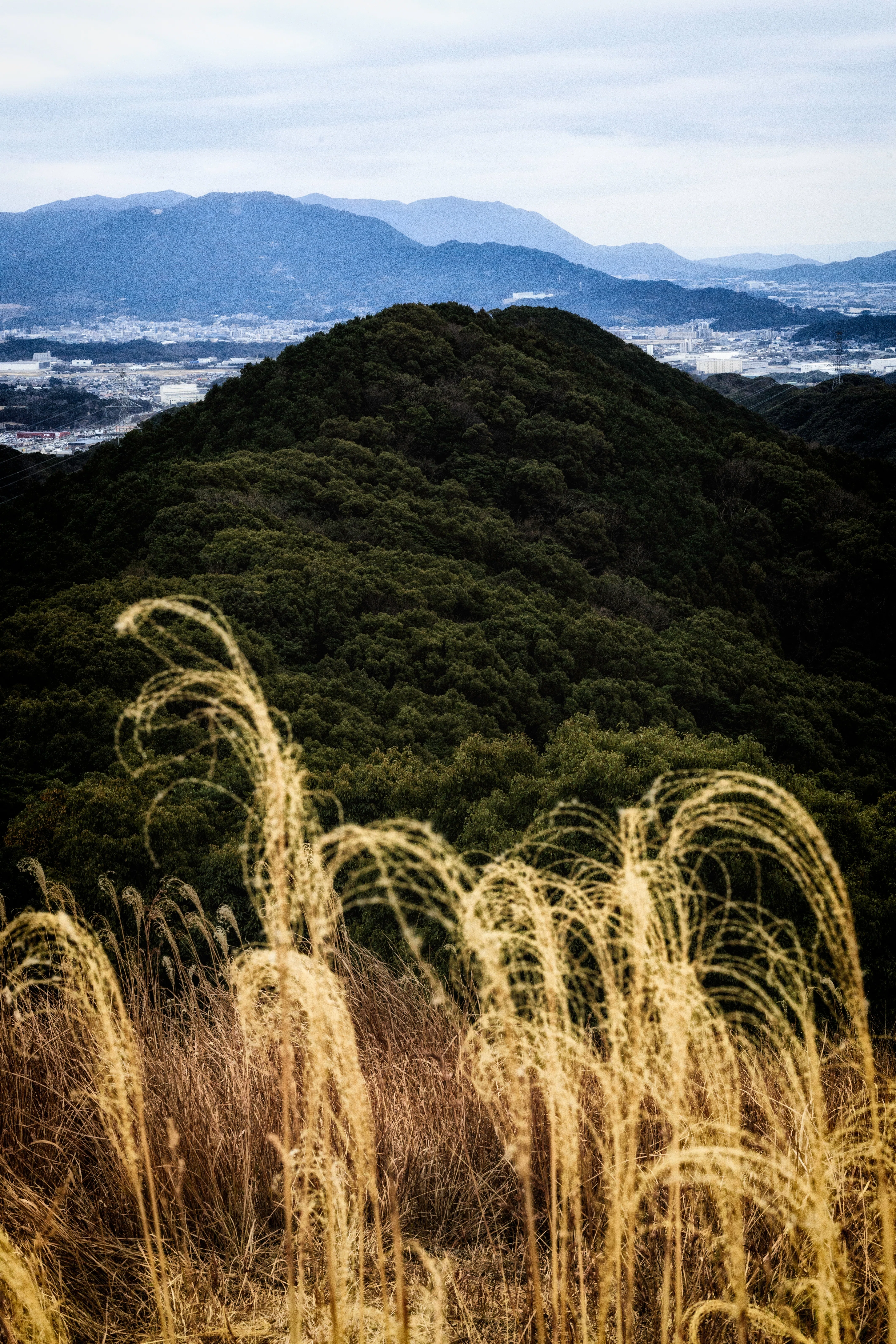 曇りの三日月山。50mm単焦点レンズ一本で切り取る、静かな午後。｜やす