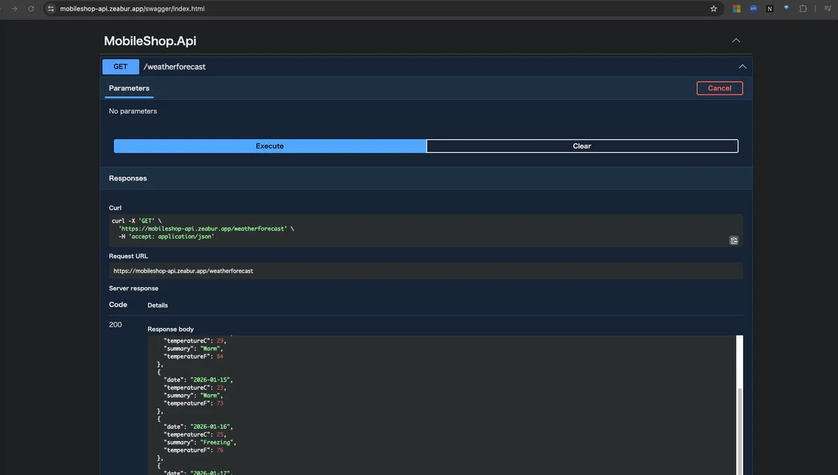 Zeabur で実現するブラウザ完結 API 開発 — GitHub Codespaces と .NET 9 で始めるクラウドネイティブバック ...