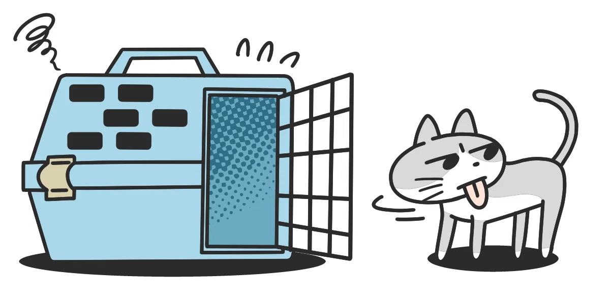 ペットキャリーに入るのを嫌がる猫