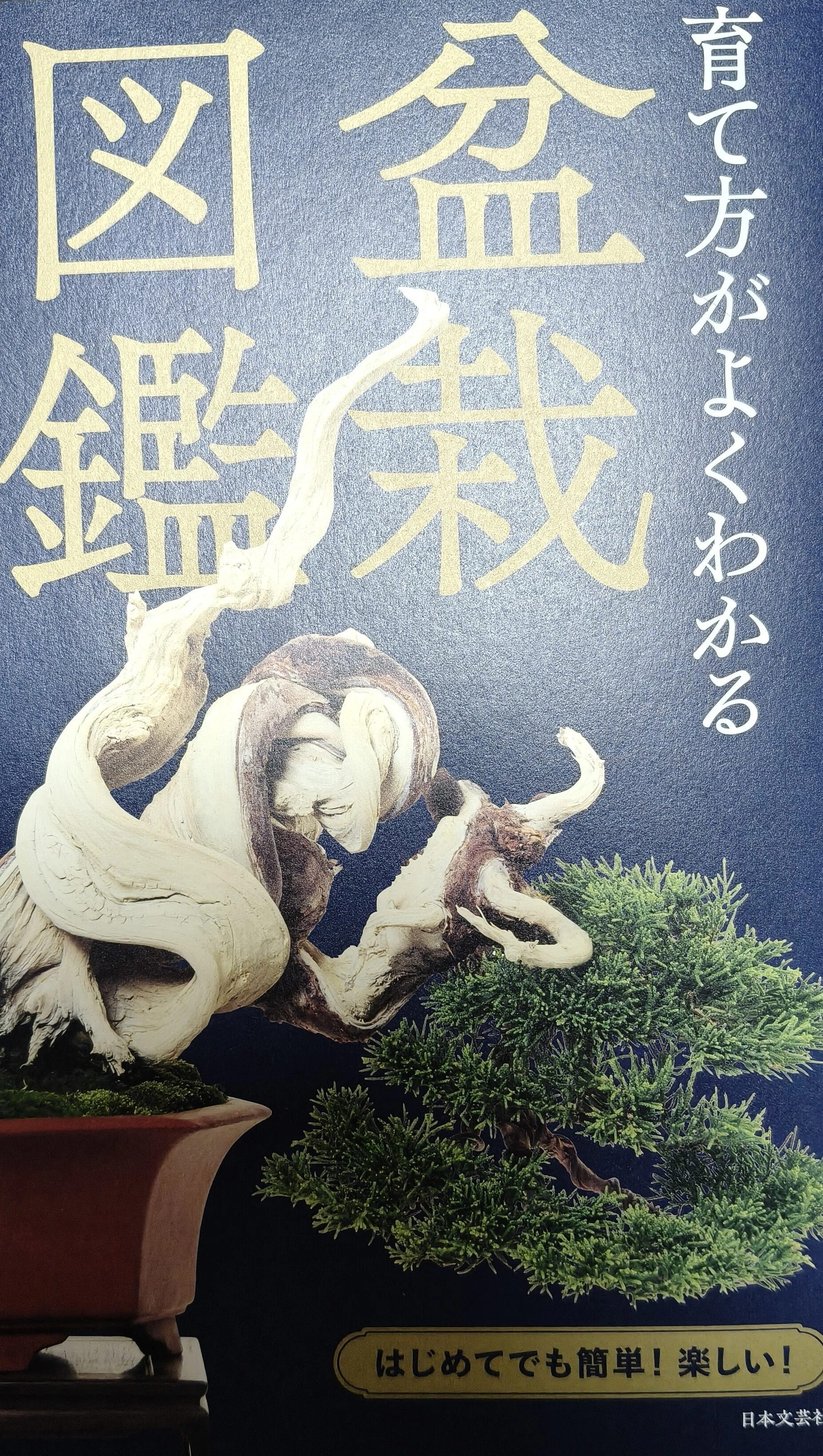 年を取ってからの盆栽も楽しい。昨日買った盆栽関連の本｜携帯で写真を