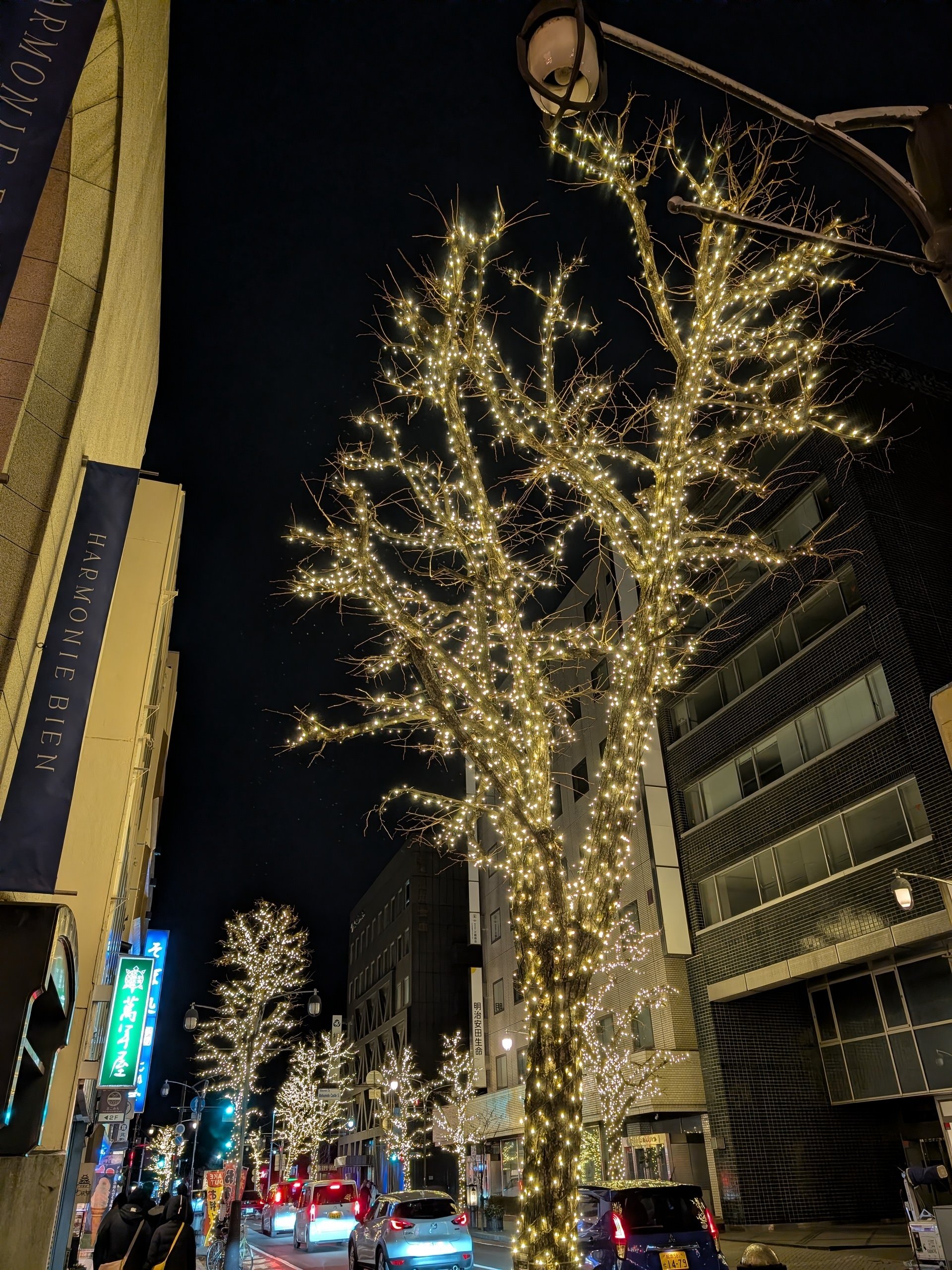 松本徘徊2026.1 ②松本城プロジェクトマッピング2026｜少佐のノオト