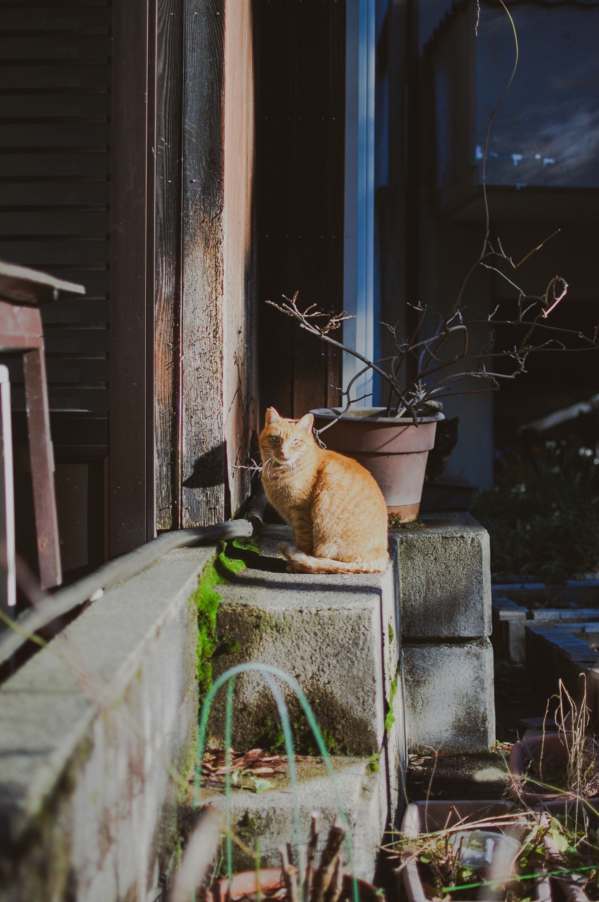 Nikon】D40と金沢を歩きそして休憩｜もんぶらん