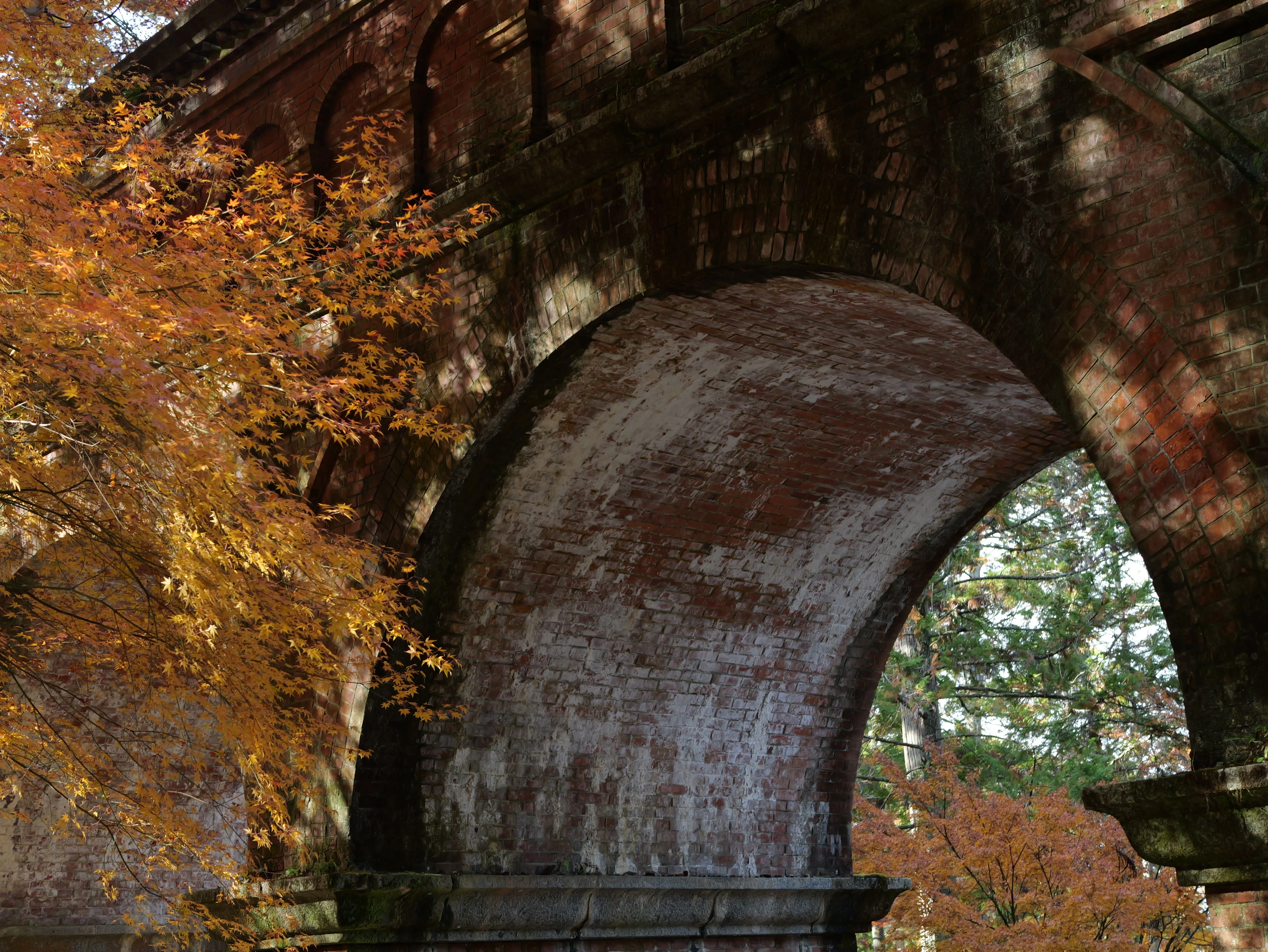LUMIX G 25mm / F1.7 ASPH. 【Library】｜LUMIX Lens Letters