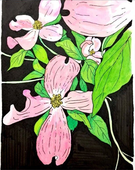 2025年の＜落椿スケッチ＞の彩色、迷いました｜わたなべ・えいいち