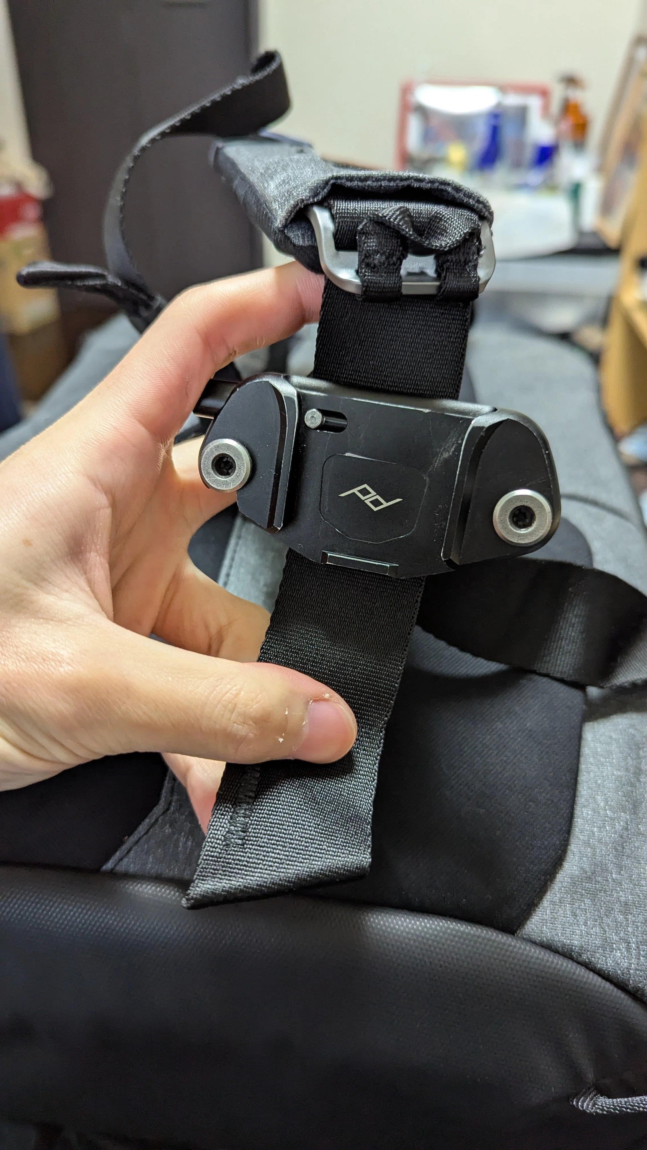 Peak Design Everyday Backpack 30L V2 買っちった｜つれいん
