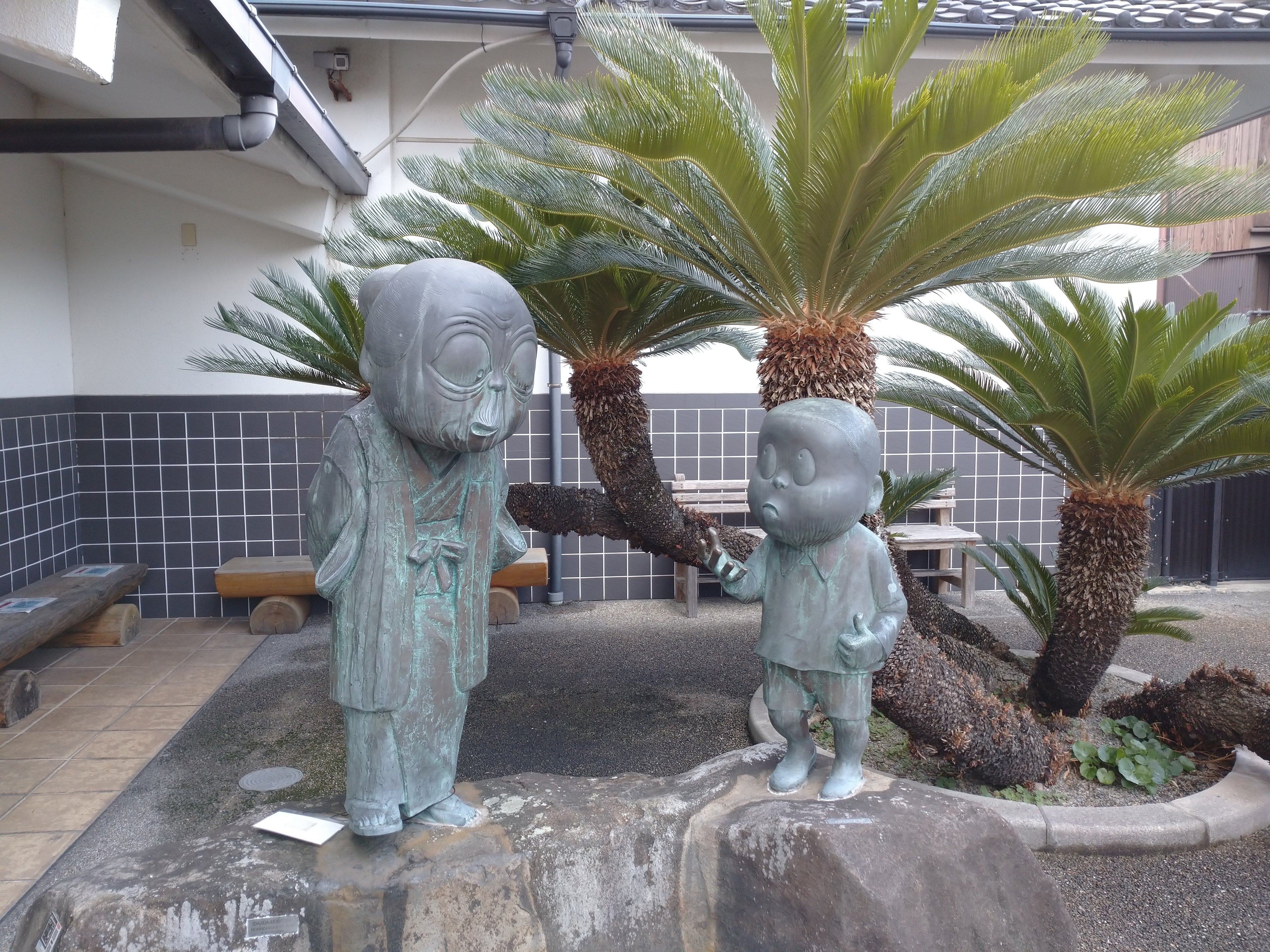 日本のヤシの木 寒さに強い観葉植物（ヤシの木編） | HITOTOKI by MAKIMO PLANT