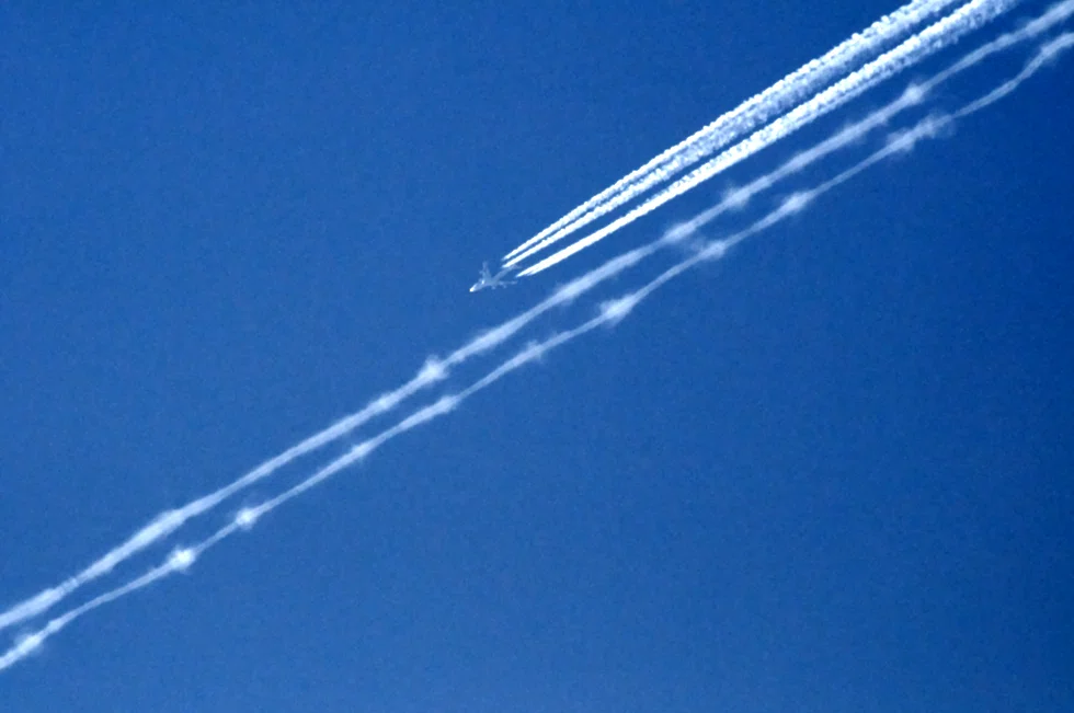 あの飛行機雲は想像よりも遥か遠くの空に浮かんでた｜夏と放し飼い