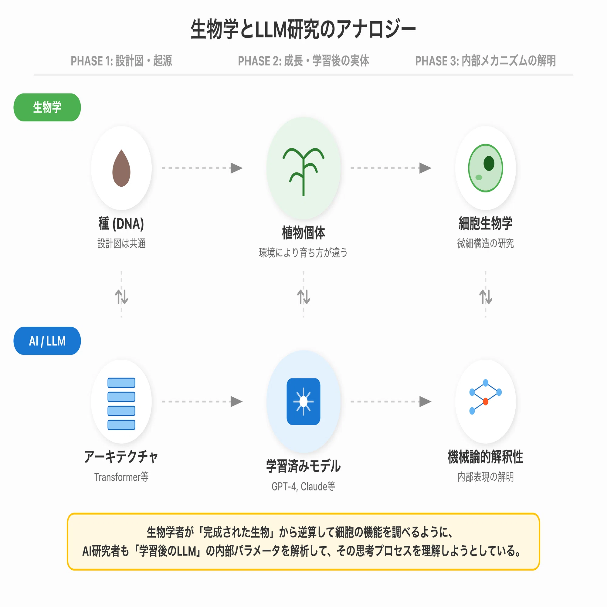 LLMの分析・解釈可能性入門：AIの「頭の中」を覗く最先端技術を超