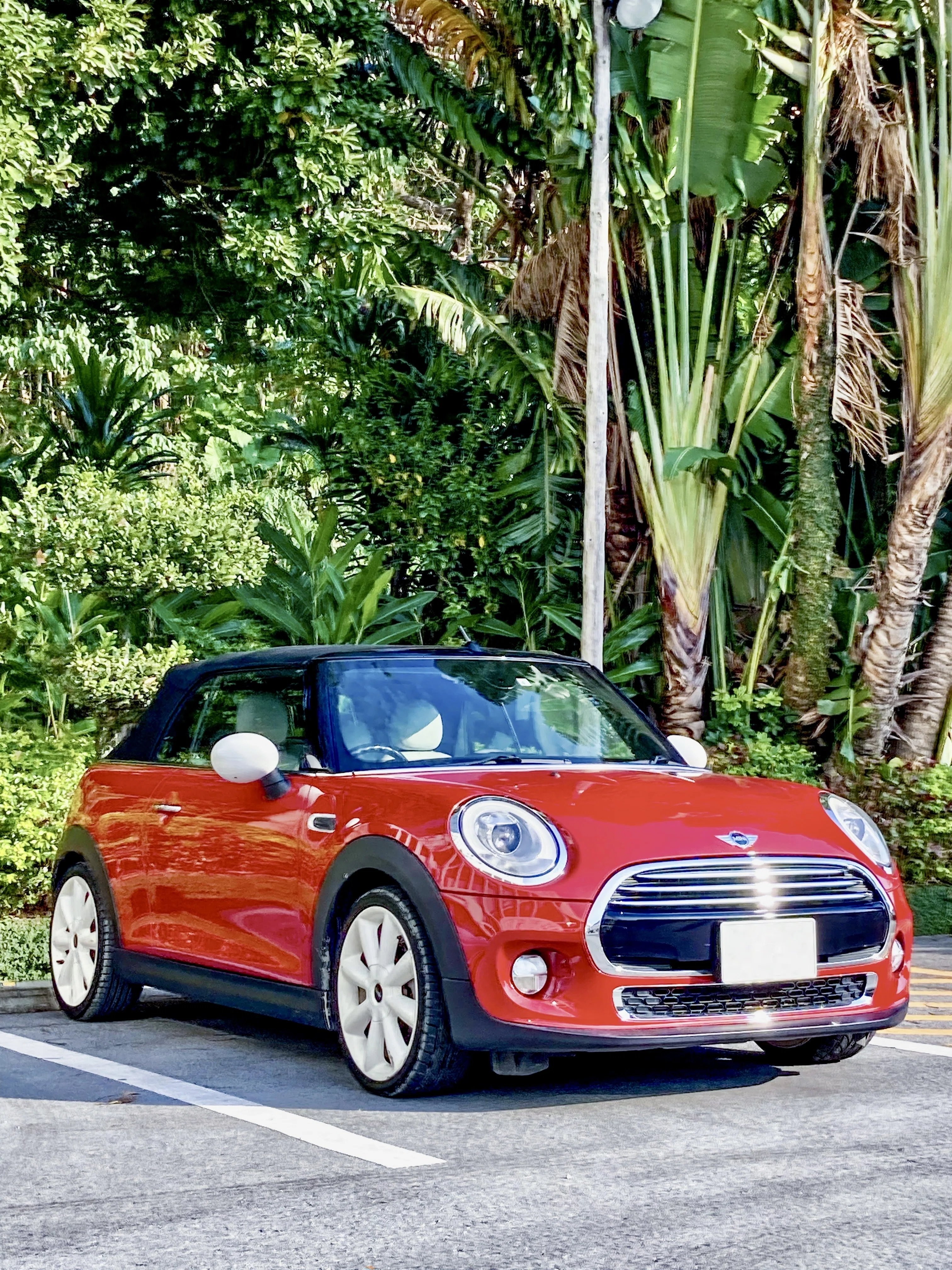 MINI F57 クーパー vs JCW ── ポルシェ乗りが1週間乗って気づいた
