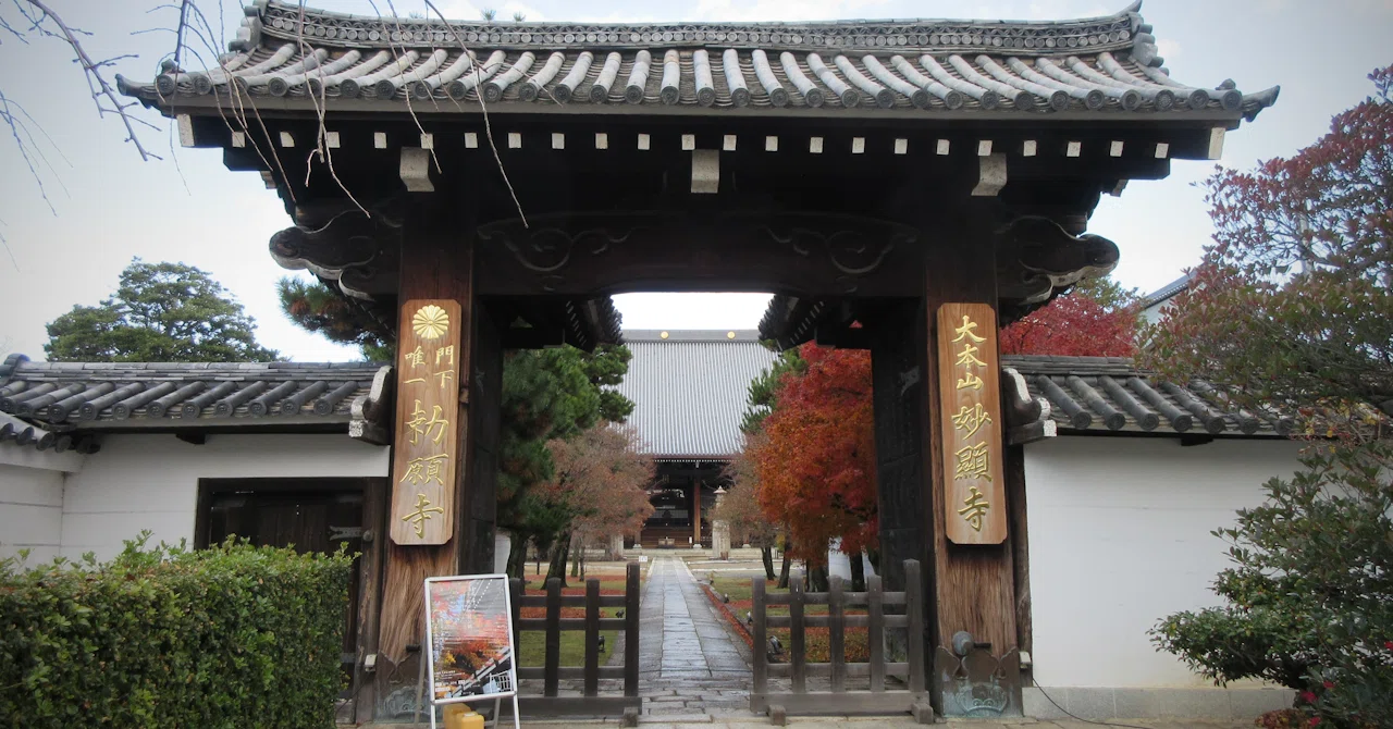 第27回京都検定の一日「四海唱導と鳴虎の寺院めぐり」｜ヤマダナガヲ