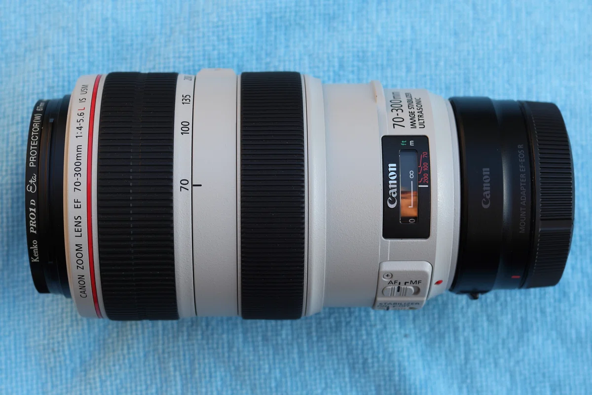ちょうど良いので今も現役 EF70−300mm F4-5.6L IS USM｜大佐藤