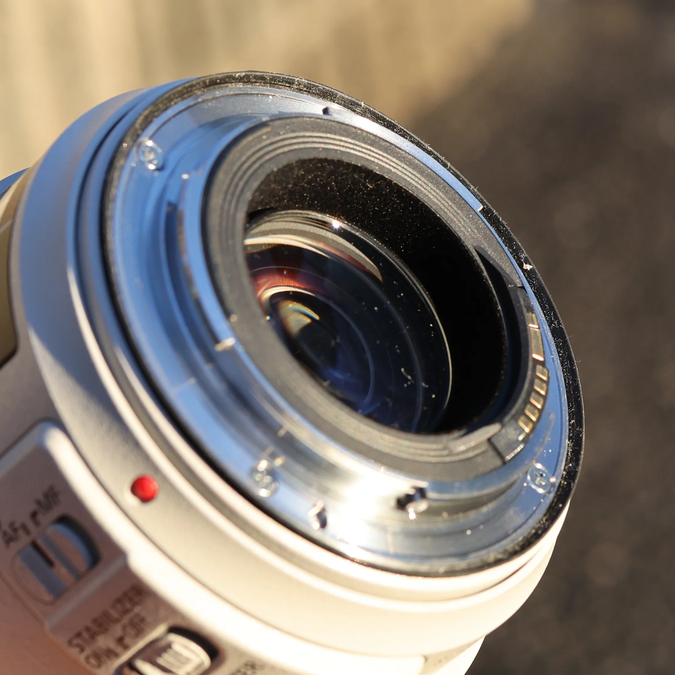 ちょうど良いので今も現役 EF70−300mm F4-5.6L IS USM｜大佐藤