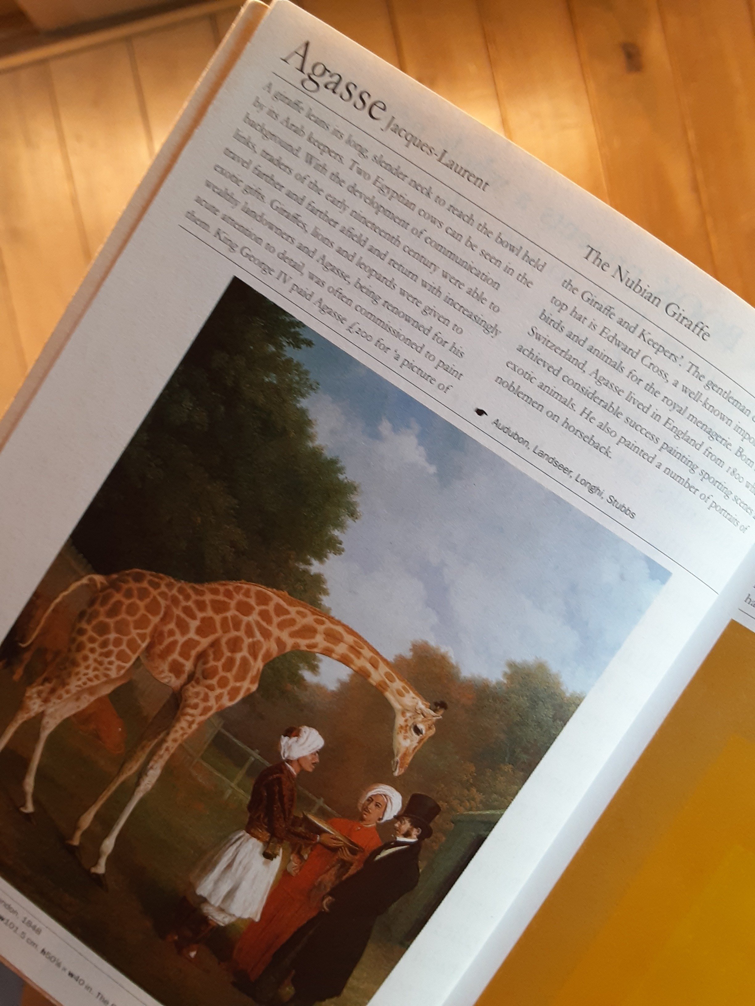 世界の美術家500・2｜木下哲夫