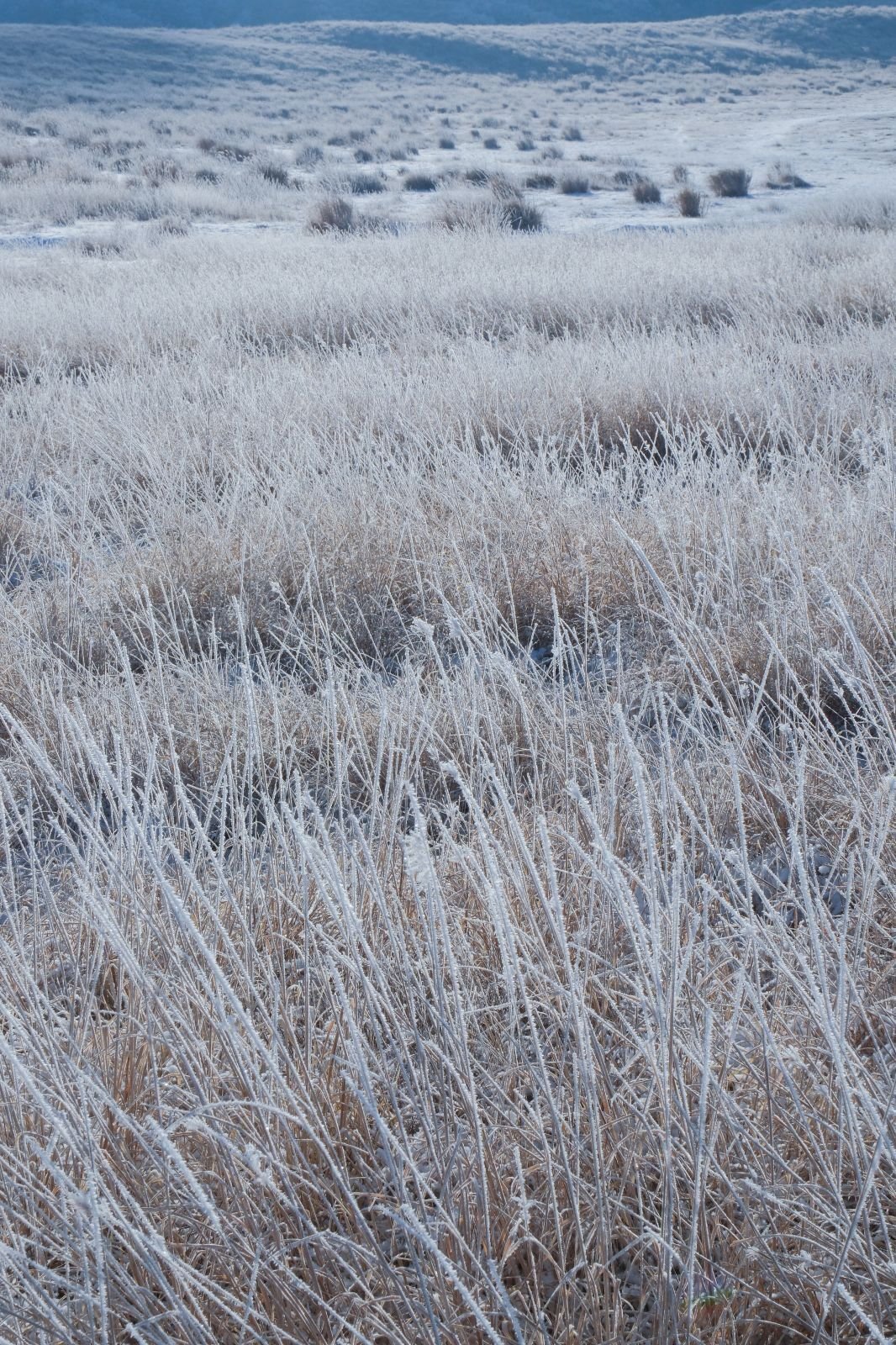 田代順七、【雪の阿蘇】、希少な画集より、新品高級額・額装付 田代順七、【雪の阿蘇】、希少な画集より、新品高級額・額装付 絹谷