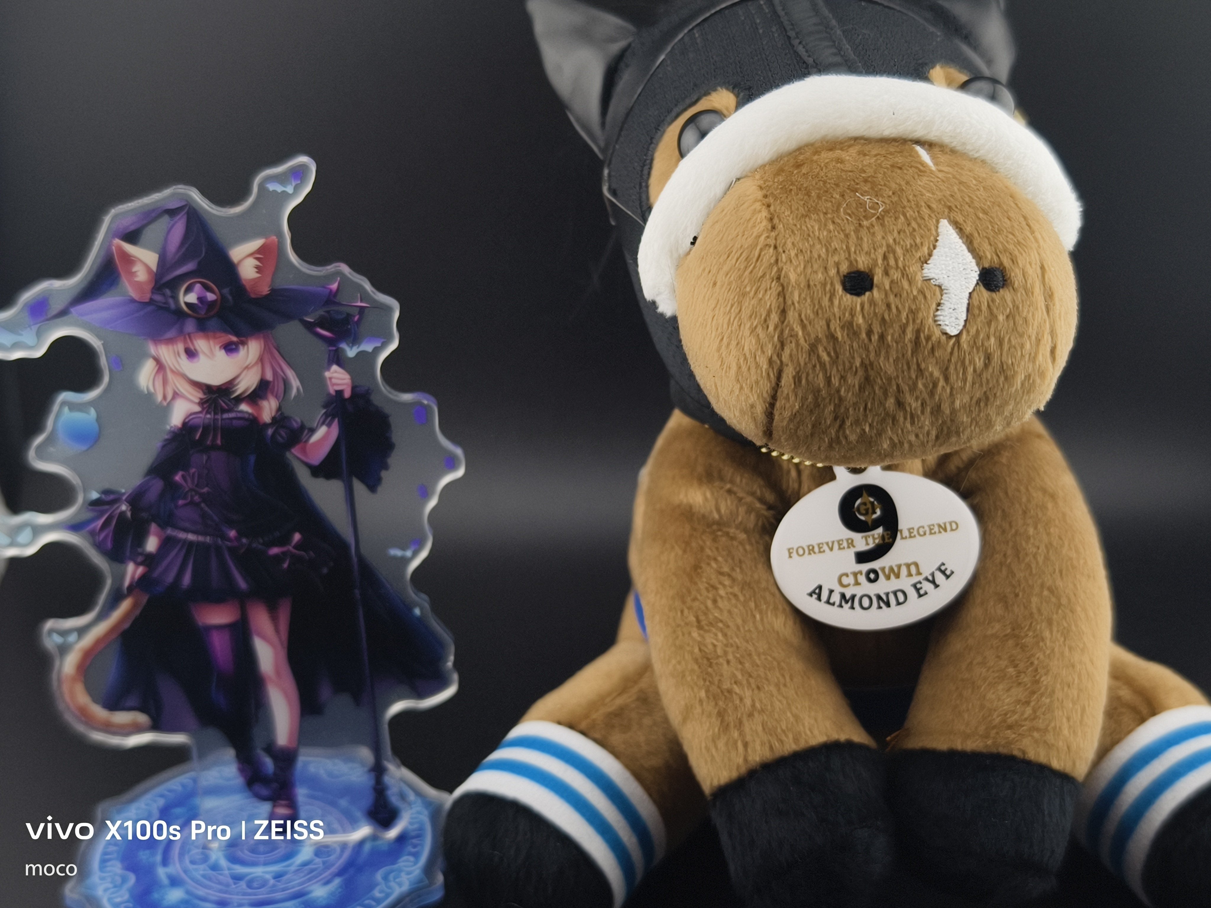 アイドルホースはいいぞ‼️｜mocoブログ