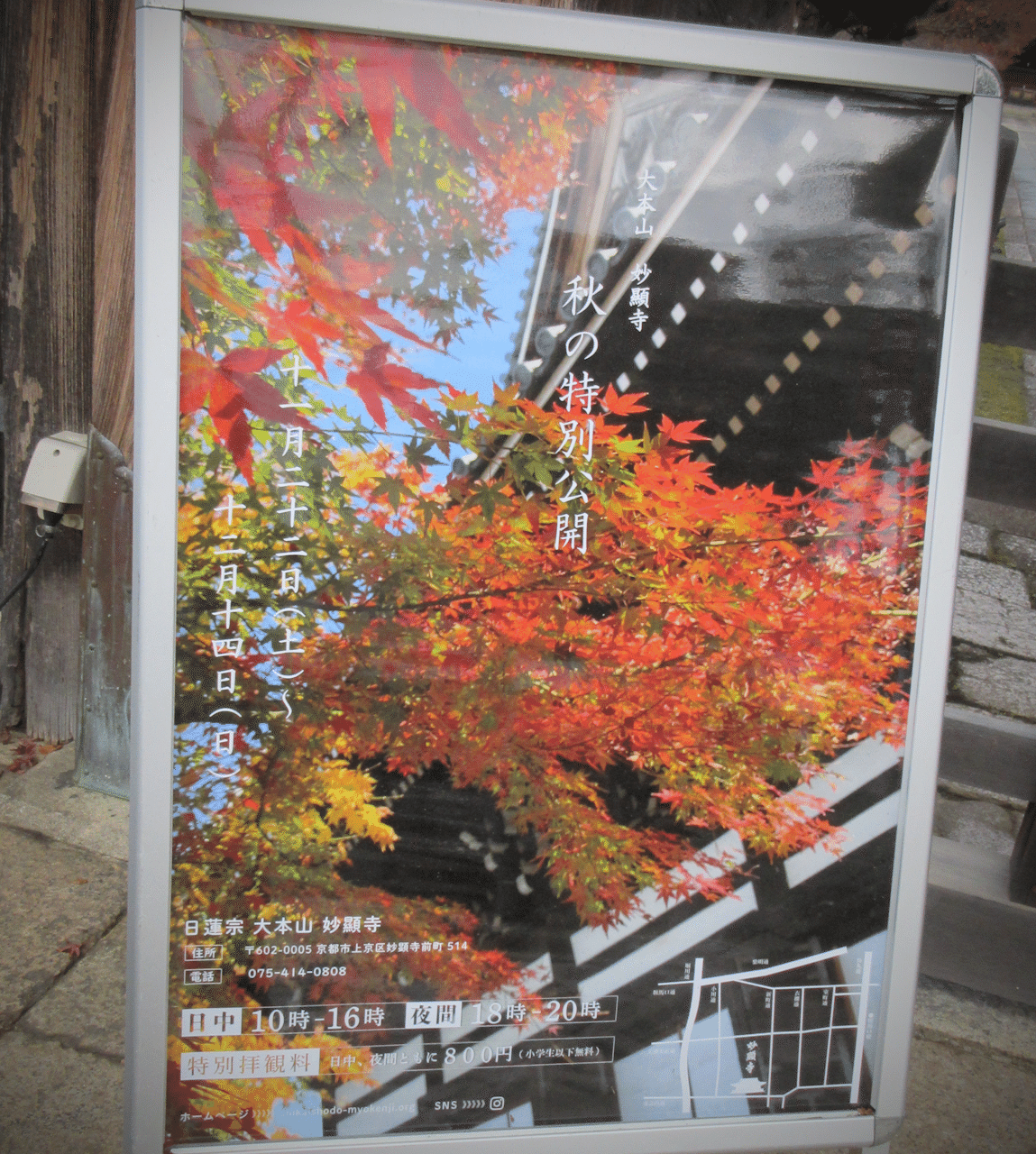 ヤマダナガヲ ギャラリー belledune フォートラベル 仏教画 四海唱導大