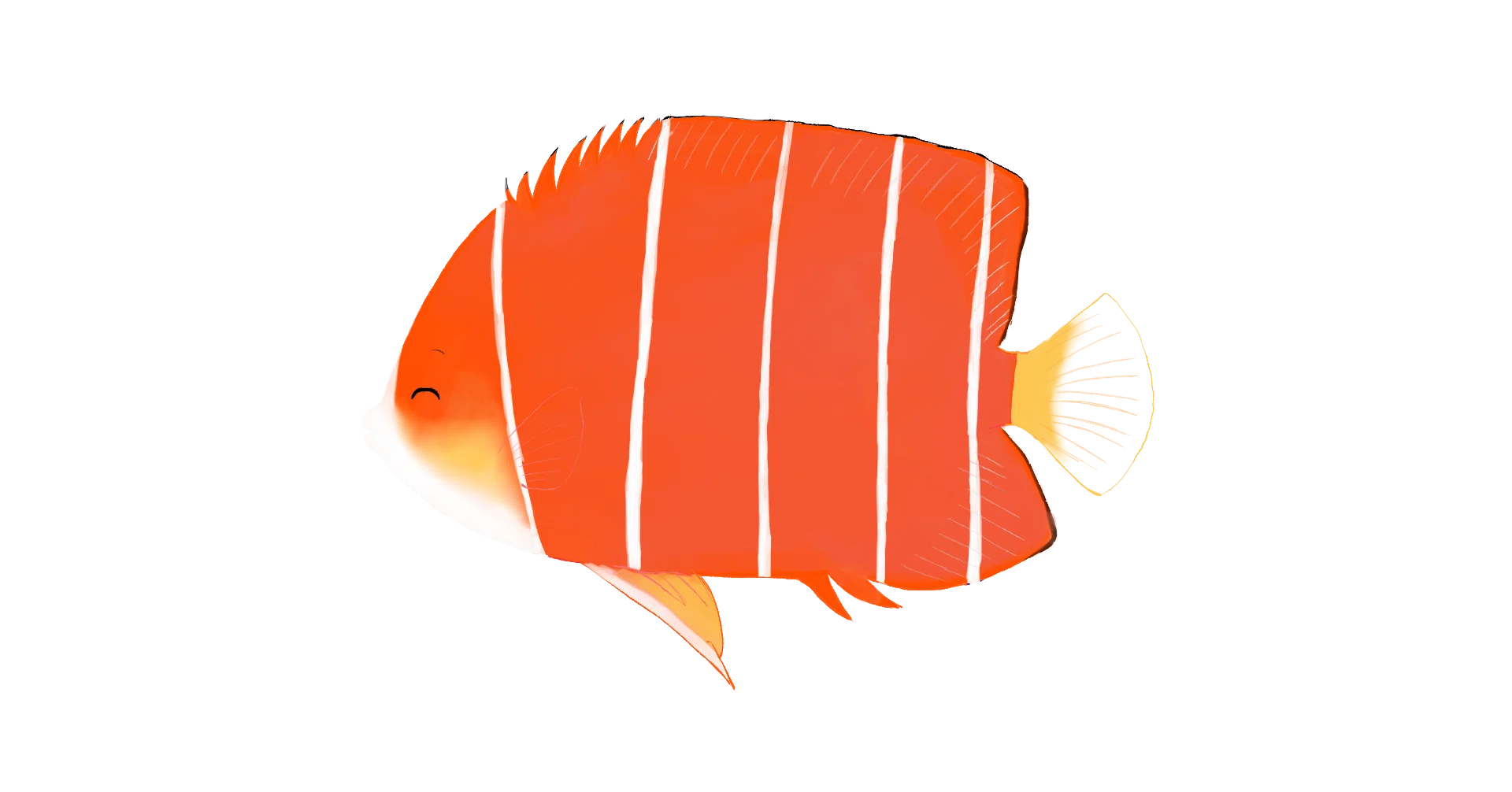 海水魚のエンゼルフィッシュたち 透過ver.｜由芽