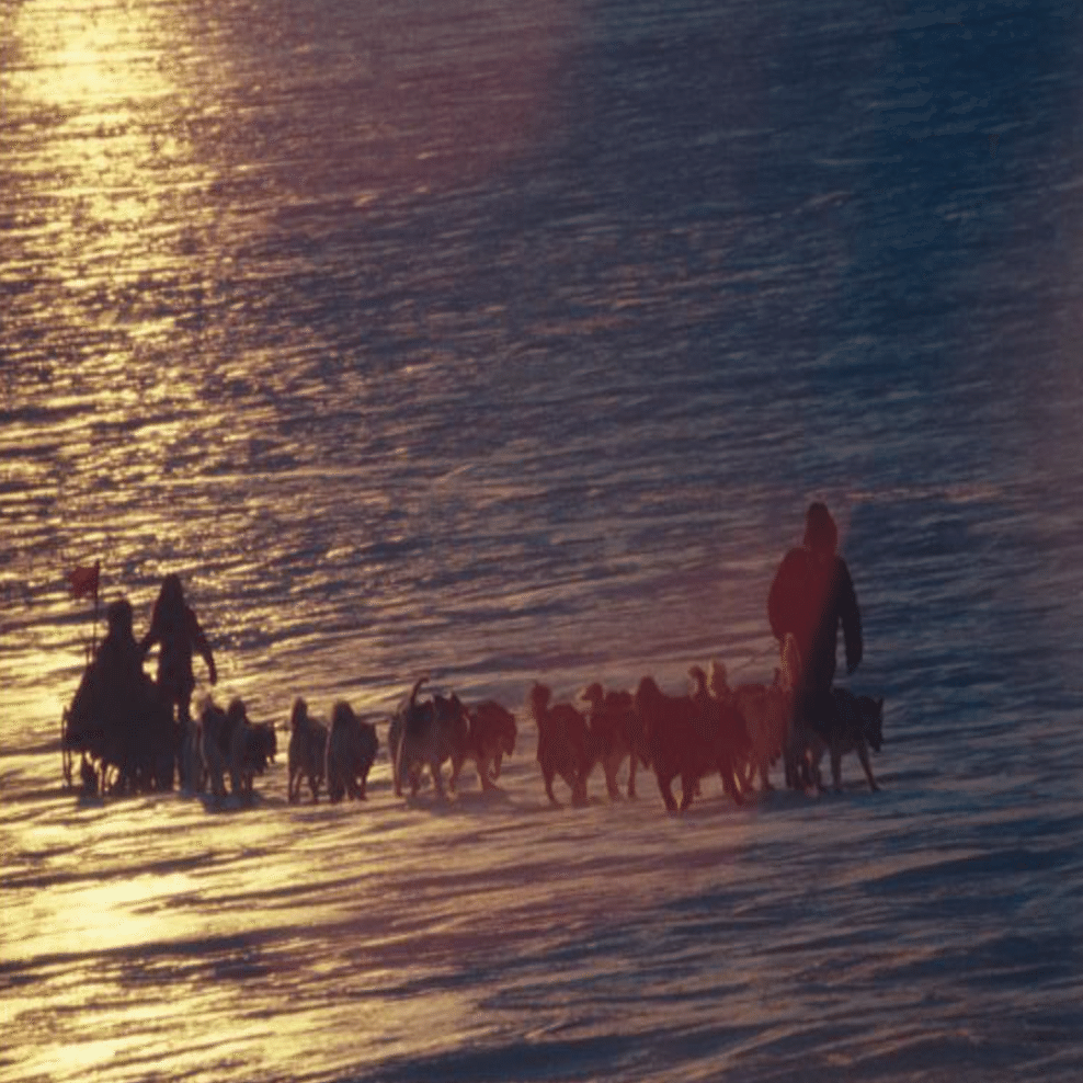 映画と史実、その両方に触れてもらうために 〜DVD『南極物語』の特典