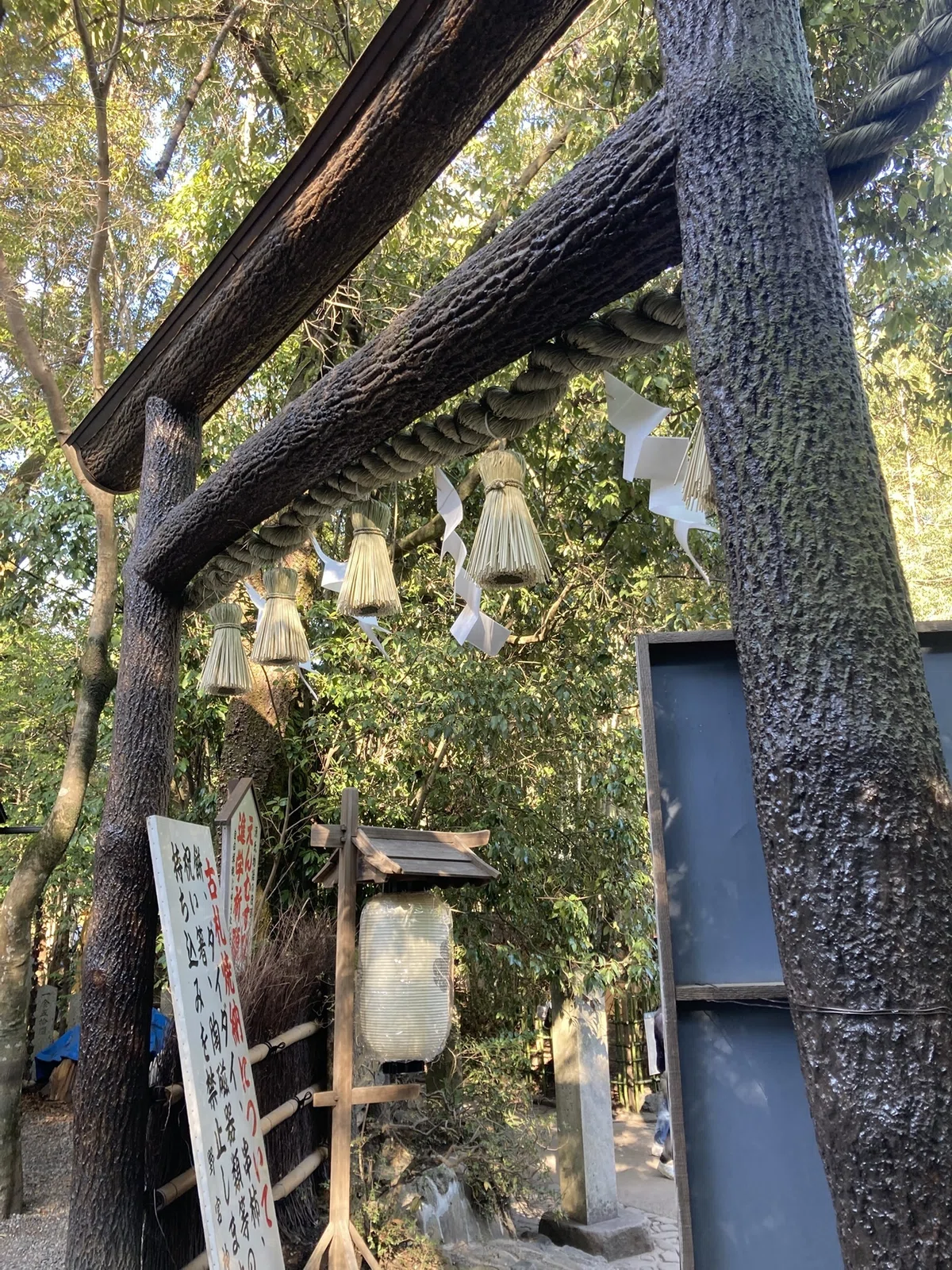 嵐山ぶらり③野宮神社・常寂光寺(20260107)|やまいつ