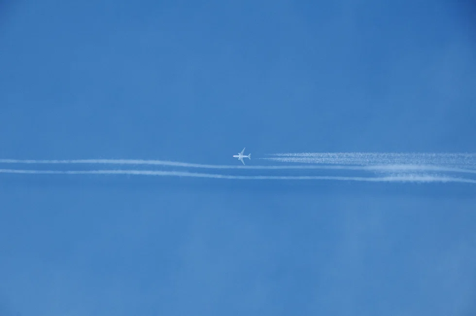 あの飛行機雲は想像よりも遥か遠くの空に浮かんでた｜夏と放し飼い