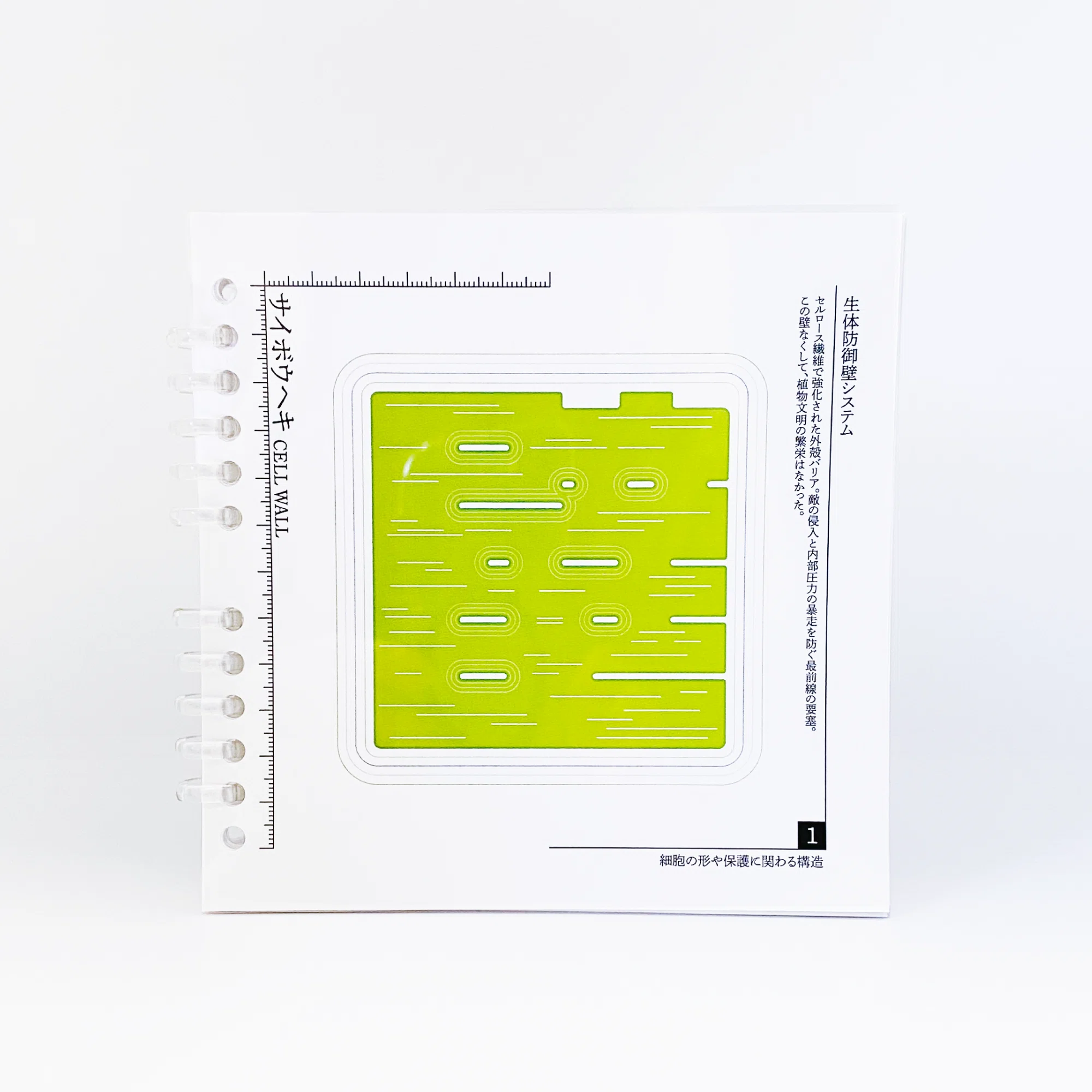 未知との出会い！顕微鏡の向こうの世界を旅しよう。ZINE「植物細胞