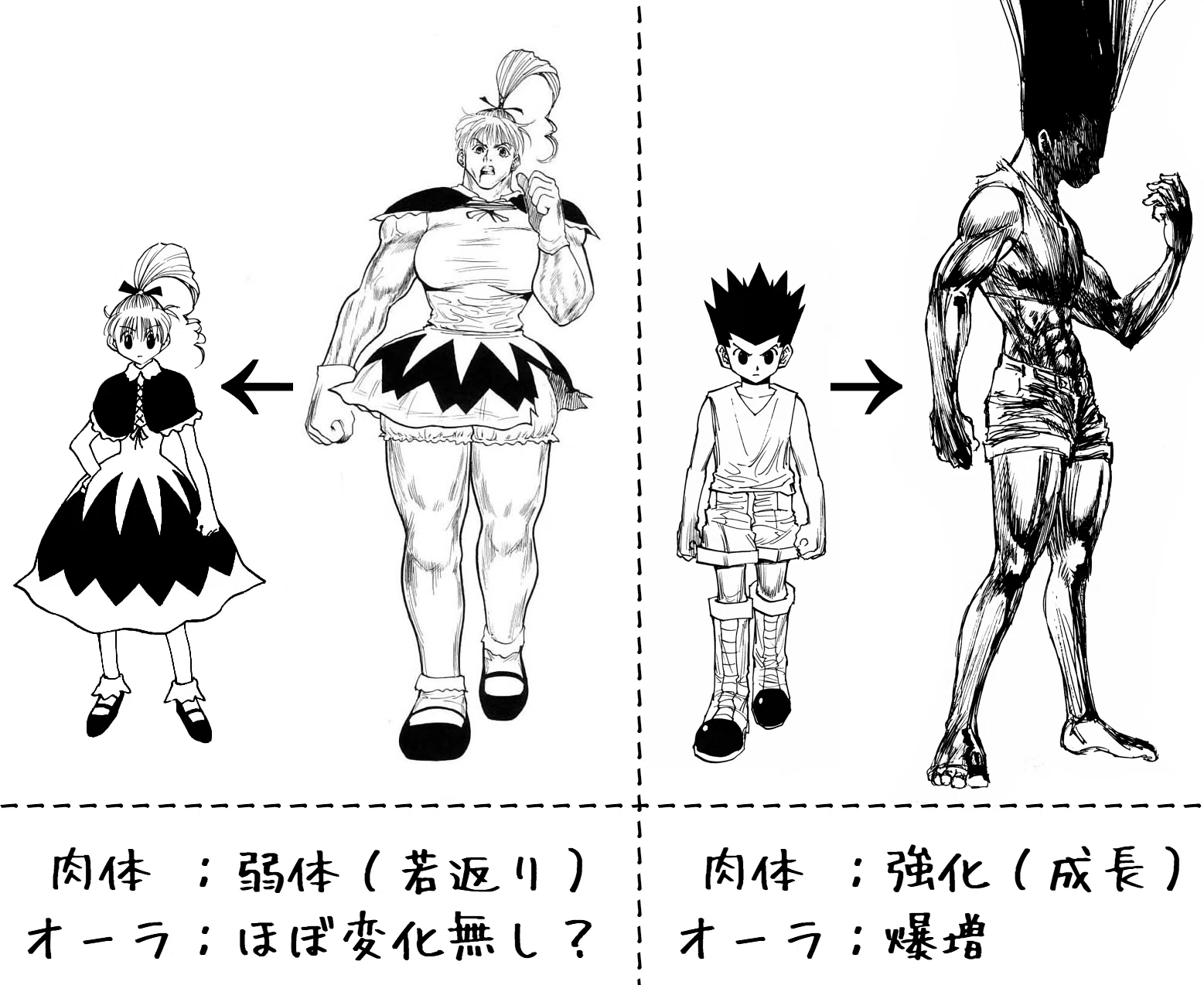 A-2：ゴンさんの能力について【HunterxHunter】｜〆鯖
