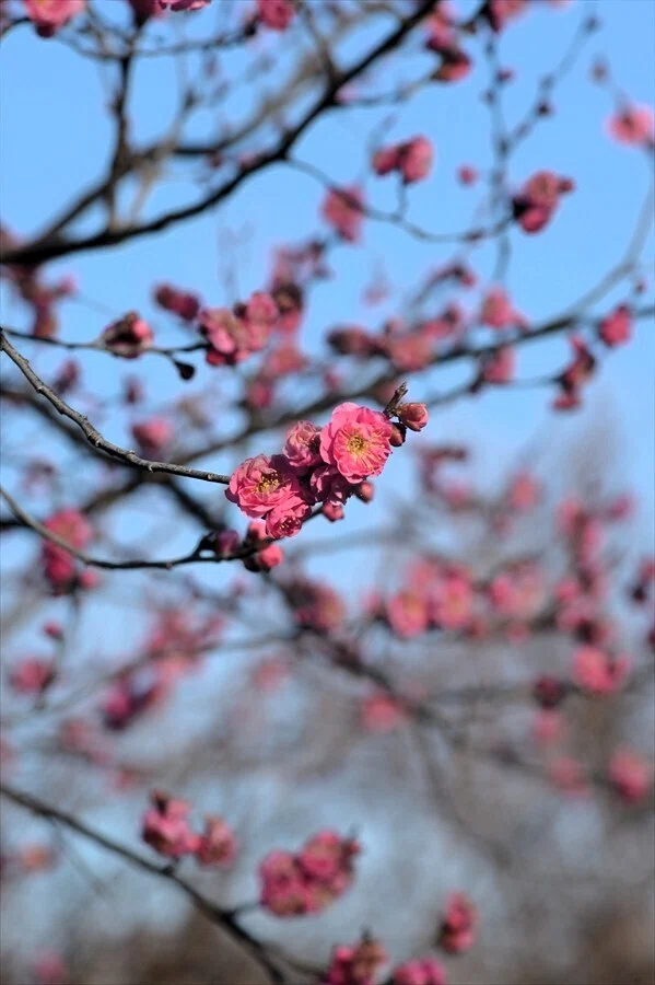迷ったときはf8で｜たぬき写真工房