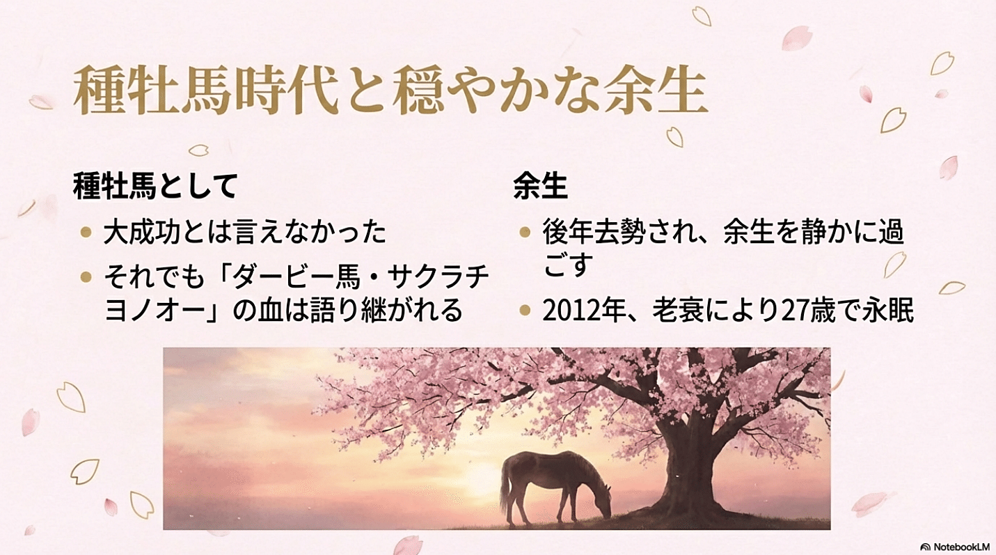 ぬ*様 昭和希少 種牡馬パンフレット サクラチヨノオー ダービー勝利馬２着メジロ サクラチヨノオー ― 最強の父 × 名門サクラ ＝ 悲願のダービー馬