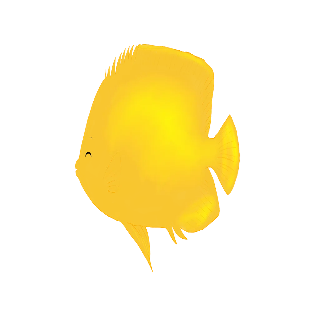 海水魚のエンゼルフィッシュたち 透過ver.｜由芽